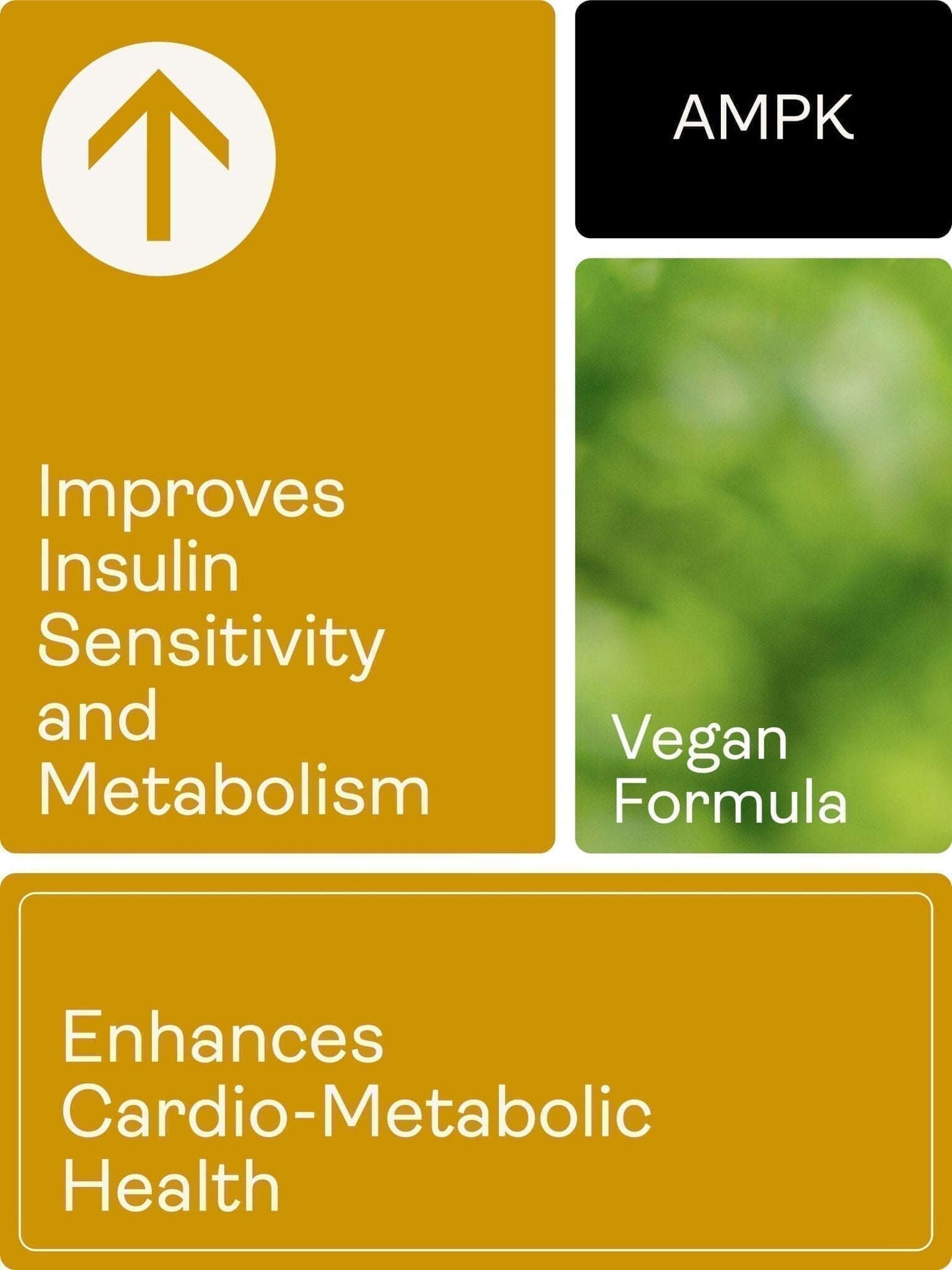 Releaf (Berberine, Silymarin, Chromium Picolinate) 500.5mg, 60 Capsules - Youth & Earth EU Store