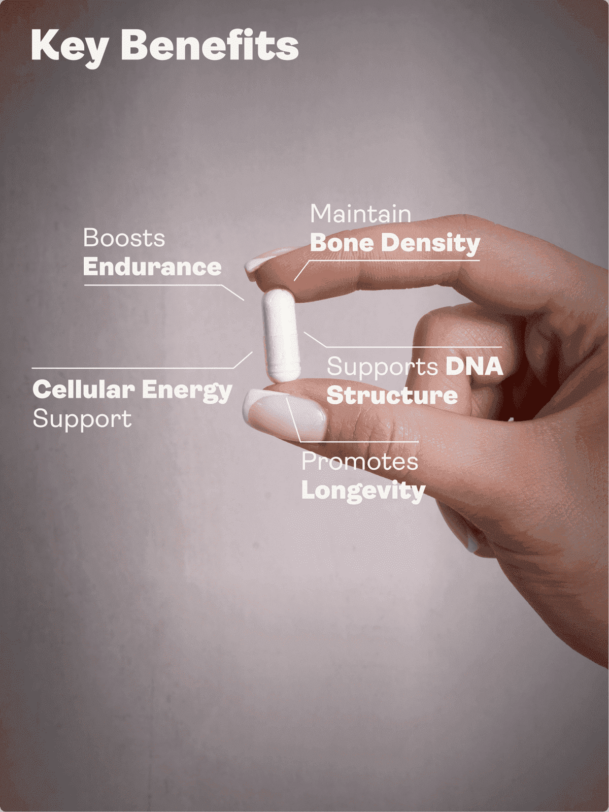 Calcium Alpha Keto-Glutarate (AKG) 500mg x 60 Capsules - Youth & Earth EU Store