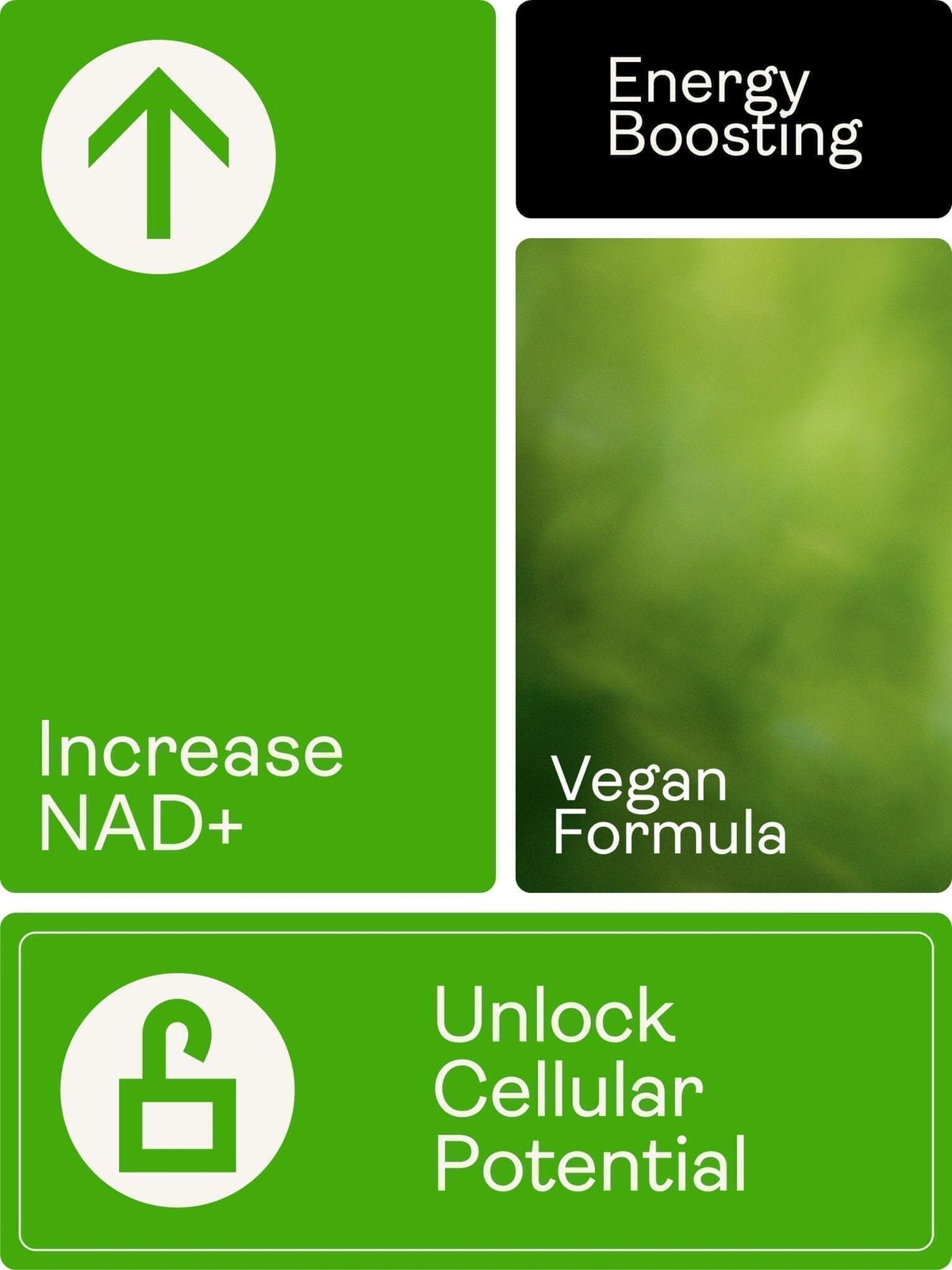 Poudre sublinguale de NMN (nicotinamide mononucléotide) - Boutique UE Youth & Earth