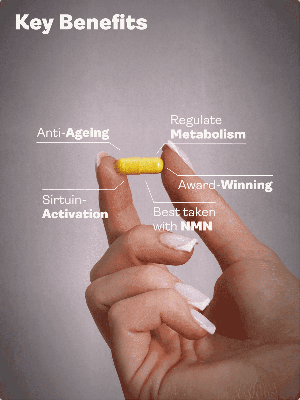 Preservage (Trans-Resveratrol, Curcumine, Quercétine, BioPerine) - 410mg, 60 Capsules - Youth & Earth EU Store