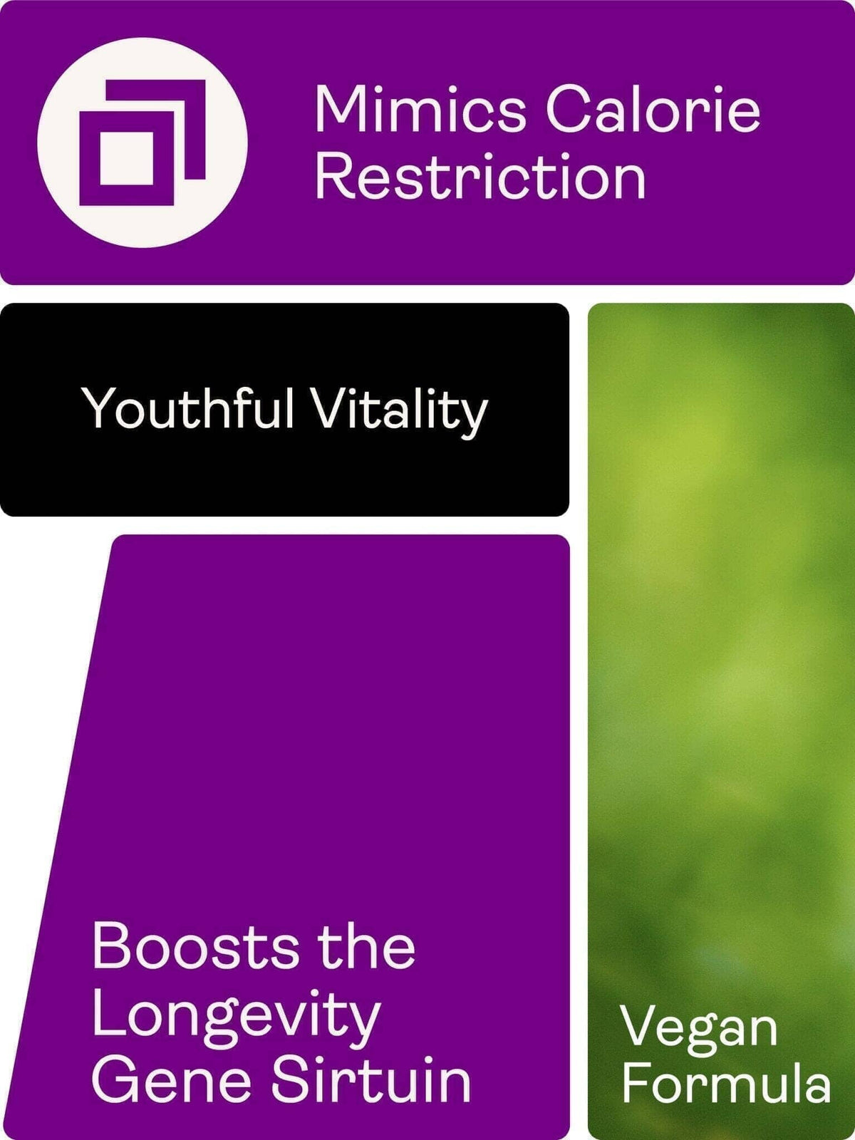 Preservage (Trans-Resveratrol, Curcumine, Quercétine, BioPerine) - 410mg, 60 Capsules - Youth & Earth EU Store