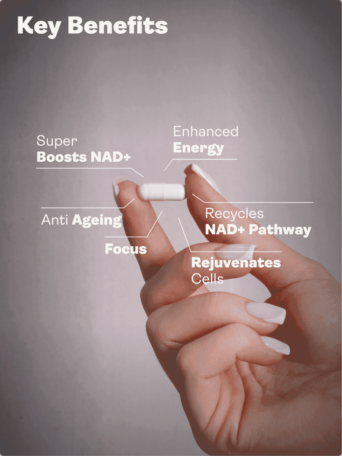 Spore Probiotic (Bacillus Subtilis HU58®, Coagulans SC208 & Clausii SC109) 4 milliards d'UFC - 60 Capsules - Youth & Earth EU Store