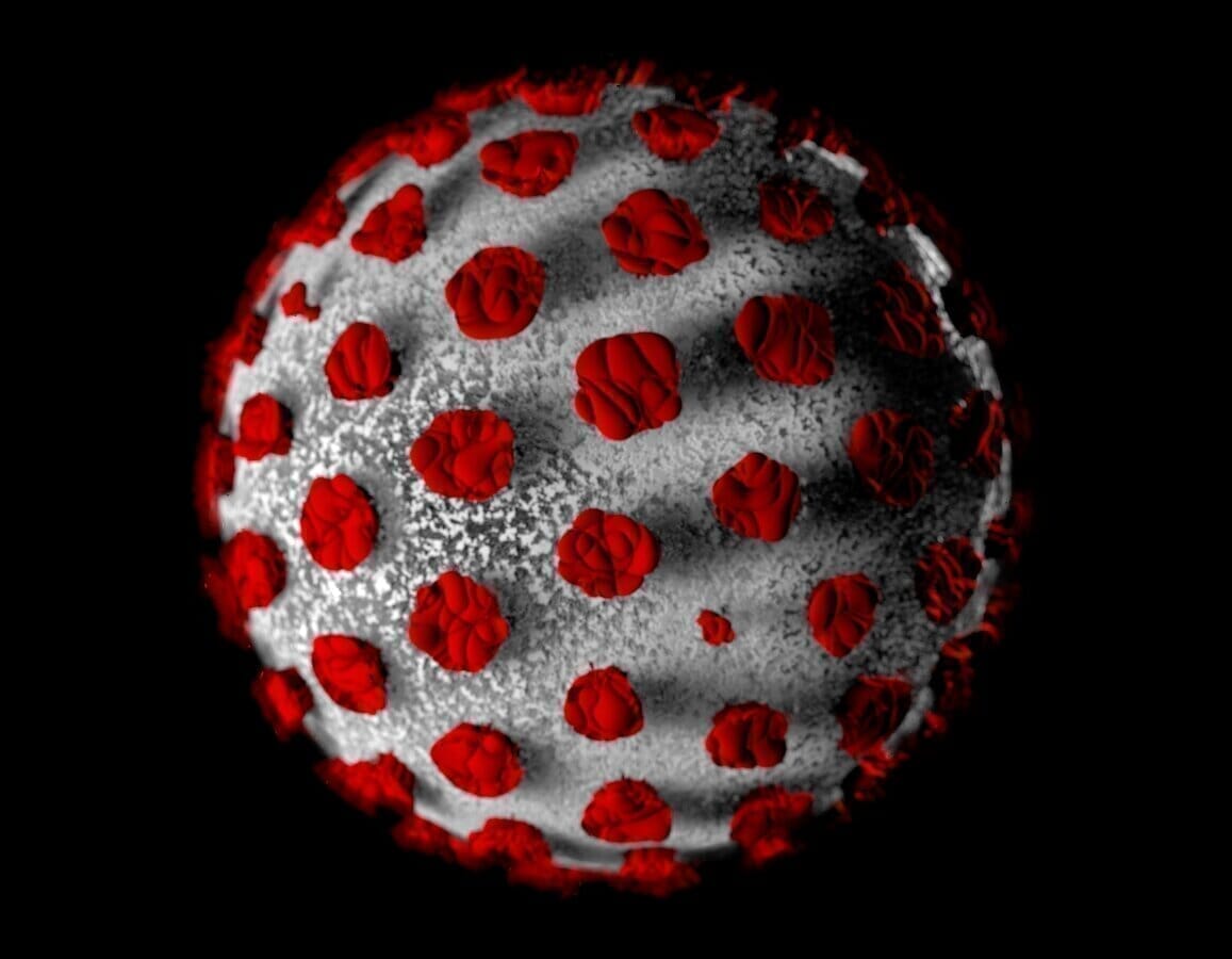 COVID-19 - Cosa c'è da sapere e come sostenere il sistema immunitario