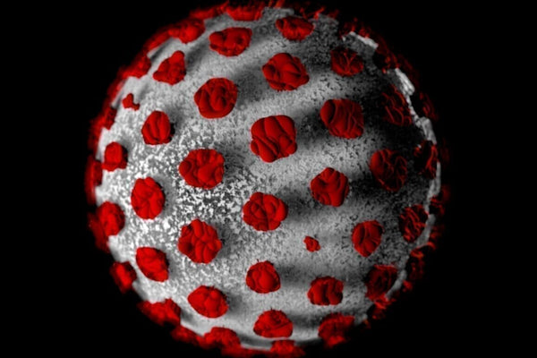 COVID-19 – What You Need to Know and How to Support Your Immune System