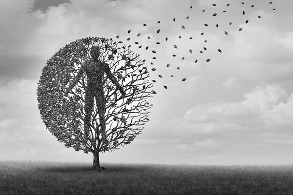 How Sirtuins And NAD+ Promotes Longevity