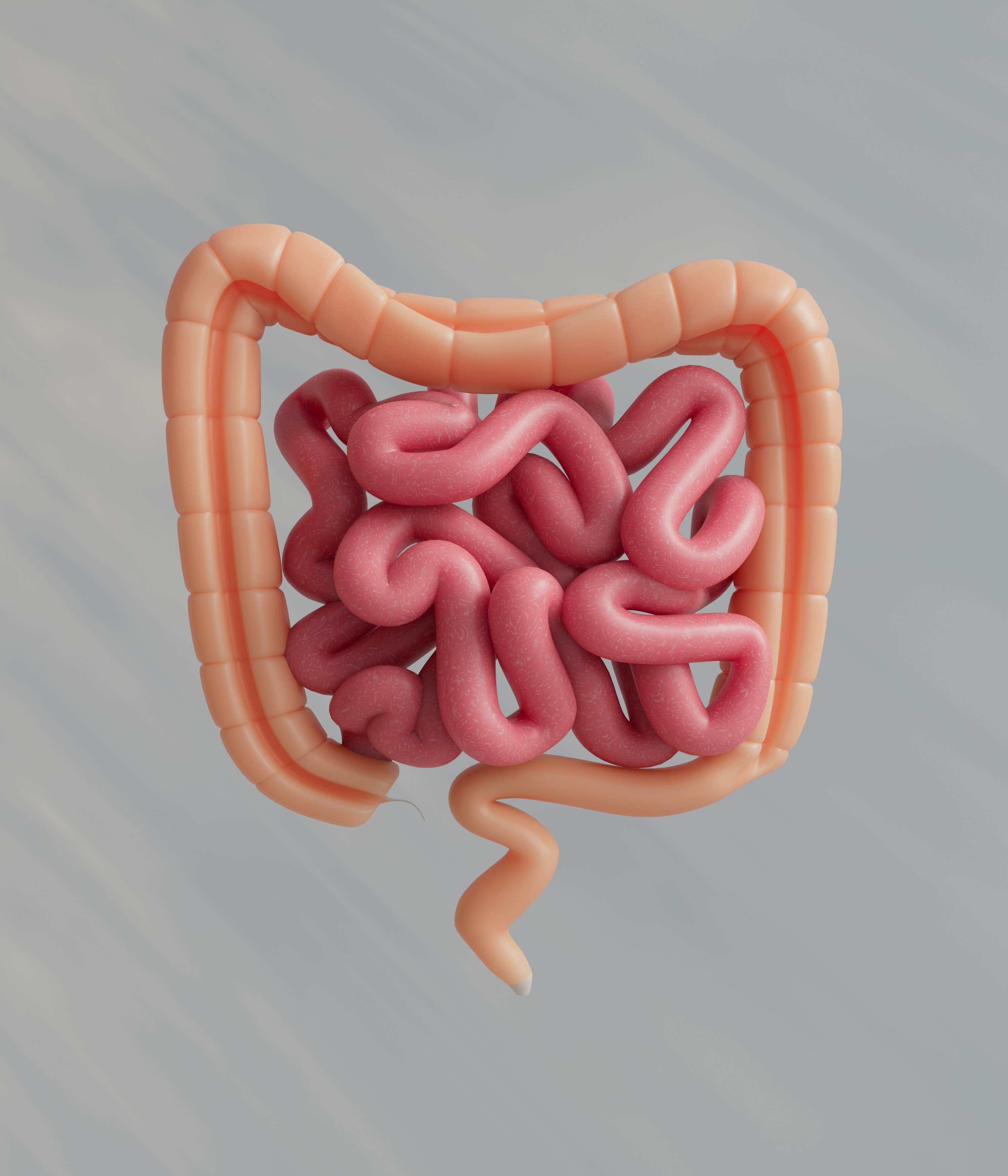 Spore Probiotic Youth & Earth: O guia definitivo para a saúde intestinal, a imunidade e a longevidade