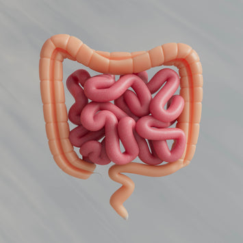 Spore Probiotic Youth & Earth: O guia definitivo para a saúde intestinal, a imunidade e a longevidade
