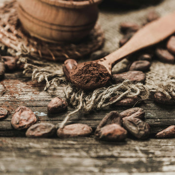 El director general Youth & Earth: Sleep Dust frente a Medahuman Night Mushroom Powder. Un análisis en profundidad sobre el sueño reparador y la longevidad