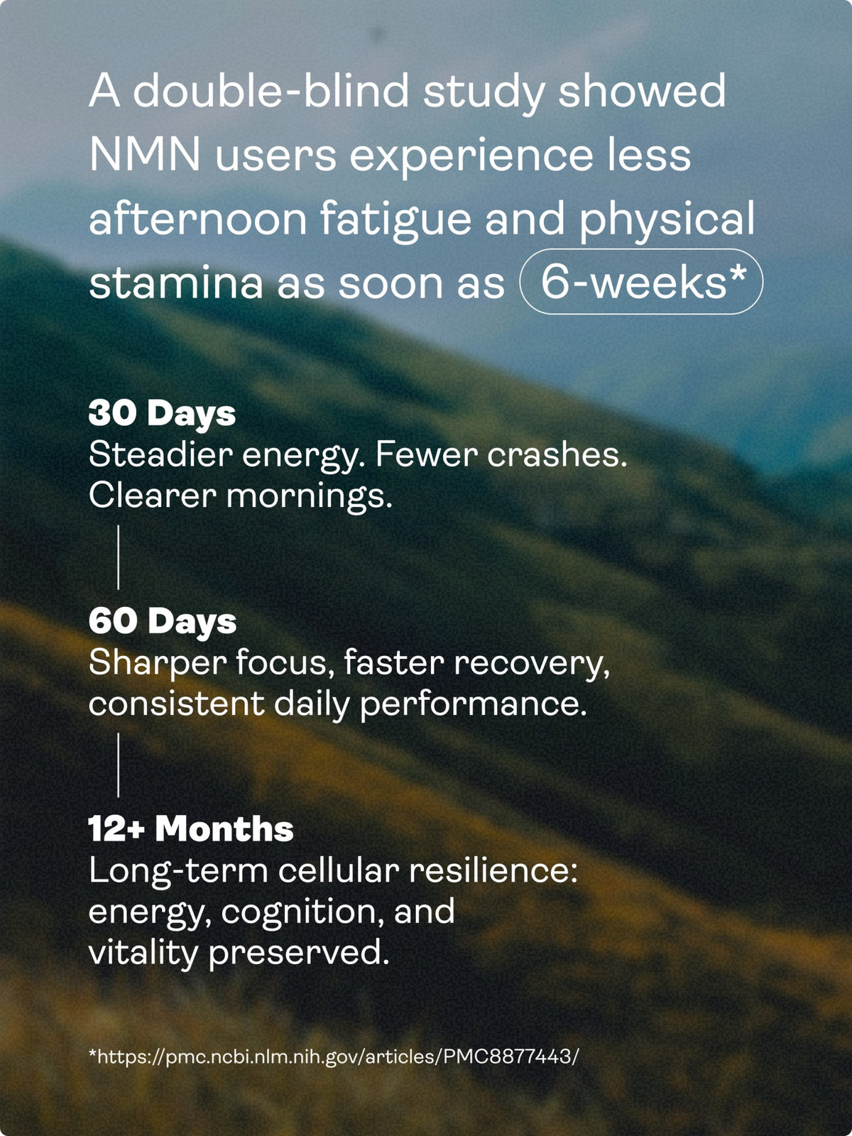 Cápsulas de NMN - Potenciador de NAD+