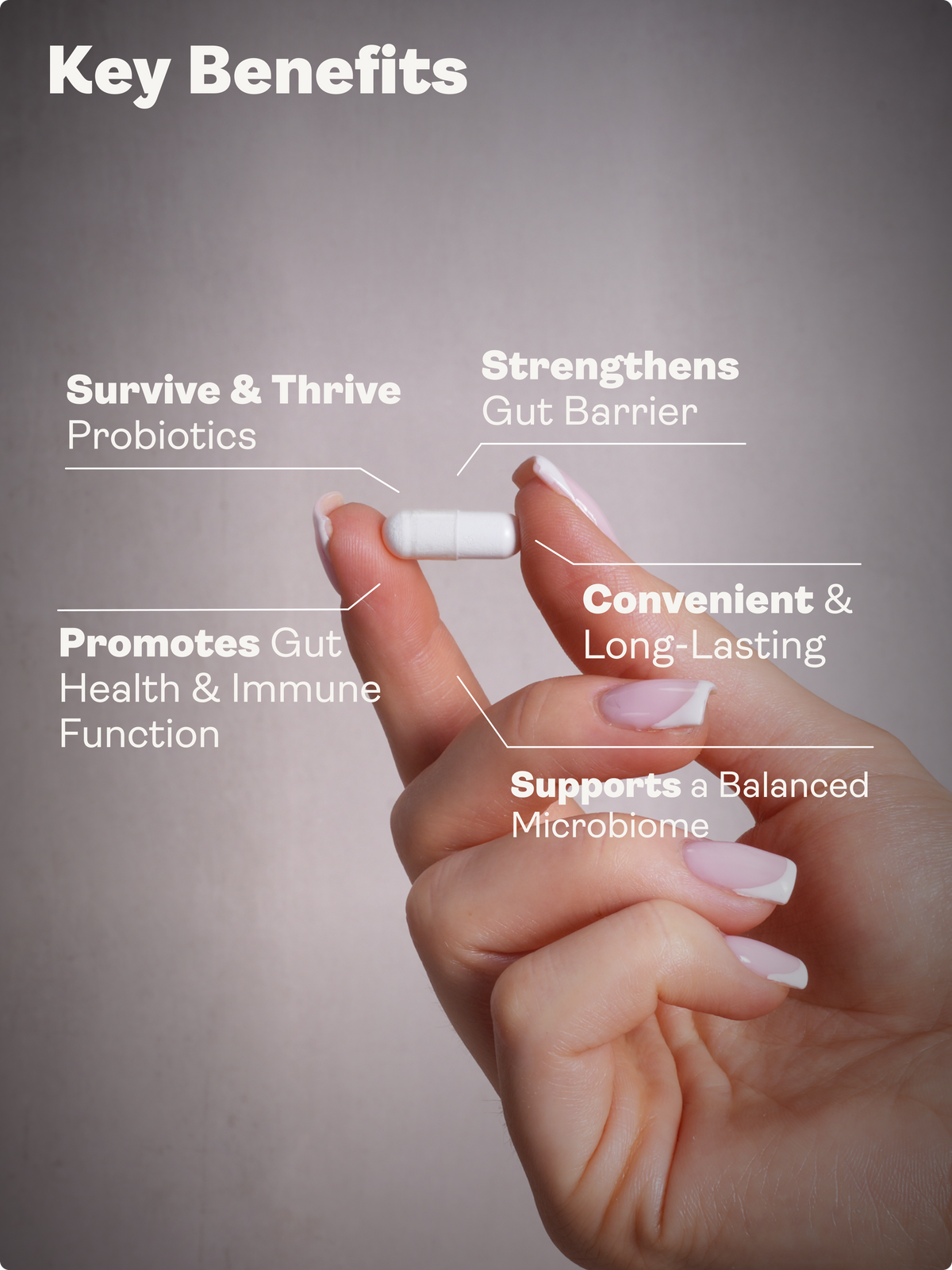 Spore Probiotic (Bacillus Subtilis HU58®, Coagulans SC208 & Clausii UBBC-07) 4 billion CFU count - 60 Capsules