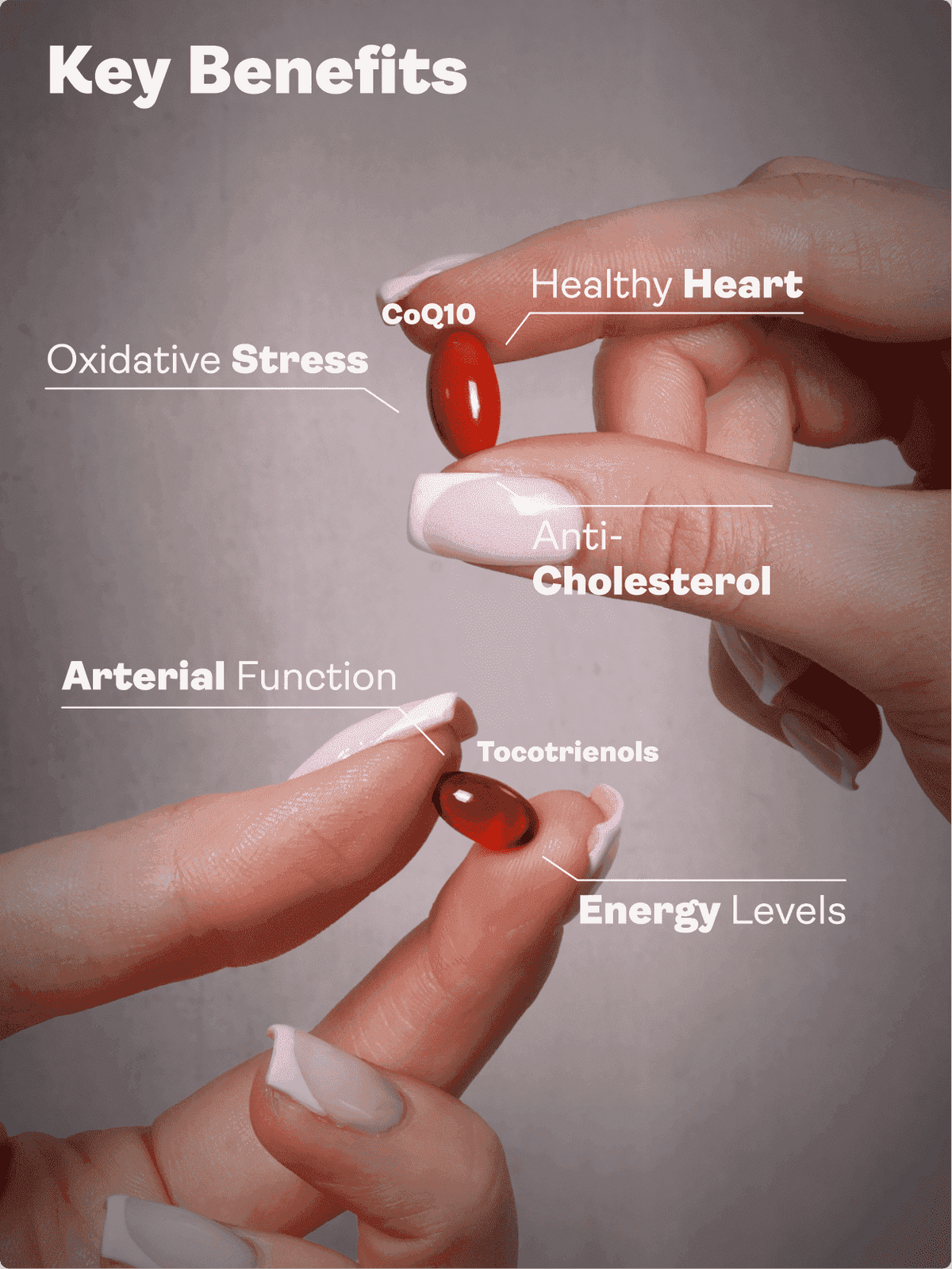 Anti-Cholesterol Bundle (Mitochondrial CoQ10 &amp; Tocotrienols) Youth &amp; Earth EU Store 