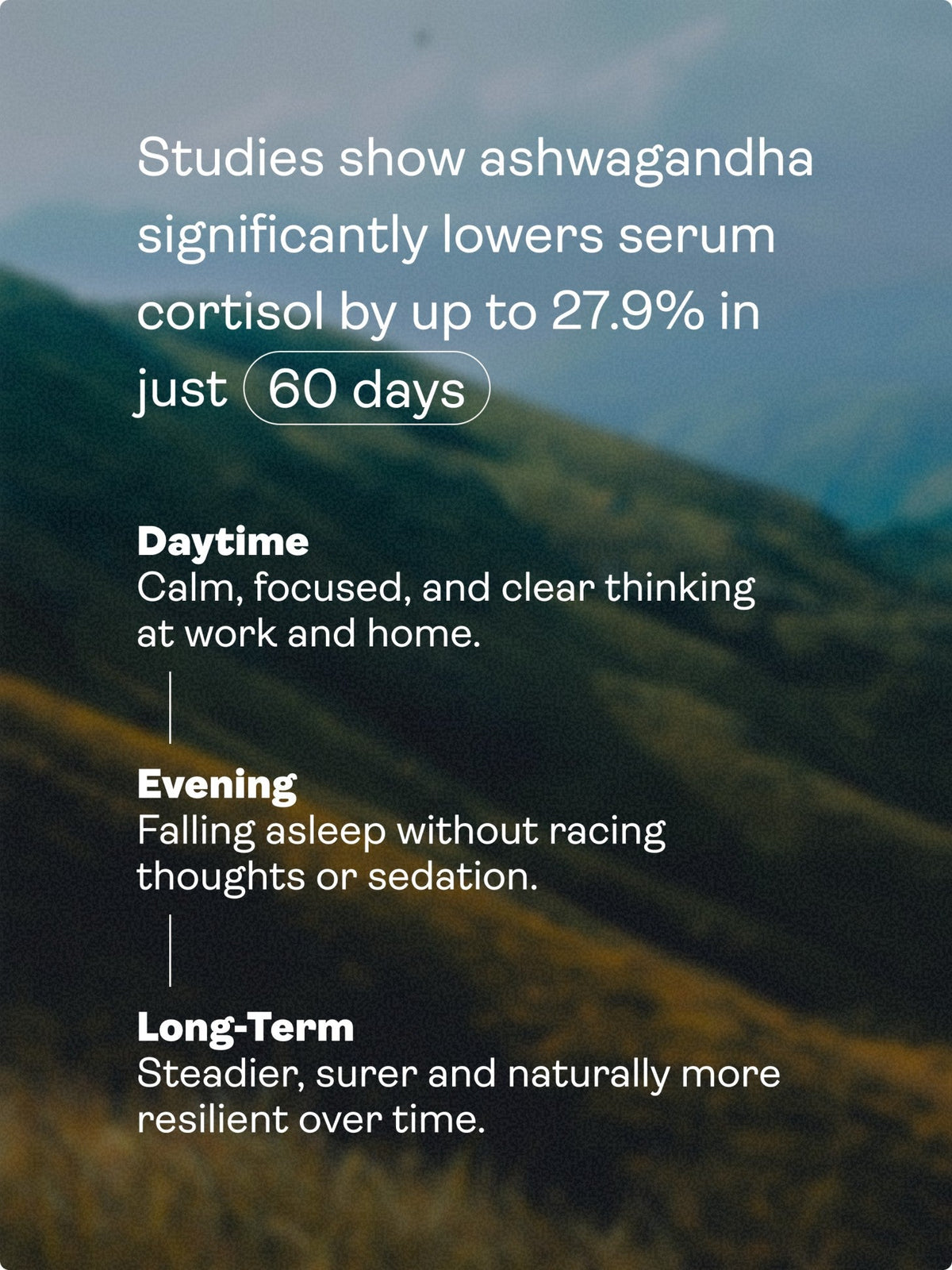 Chillaxcine - Ashwagandha, L - theanine & Saffron - Youth & Earth EU Store