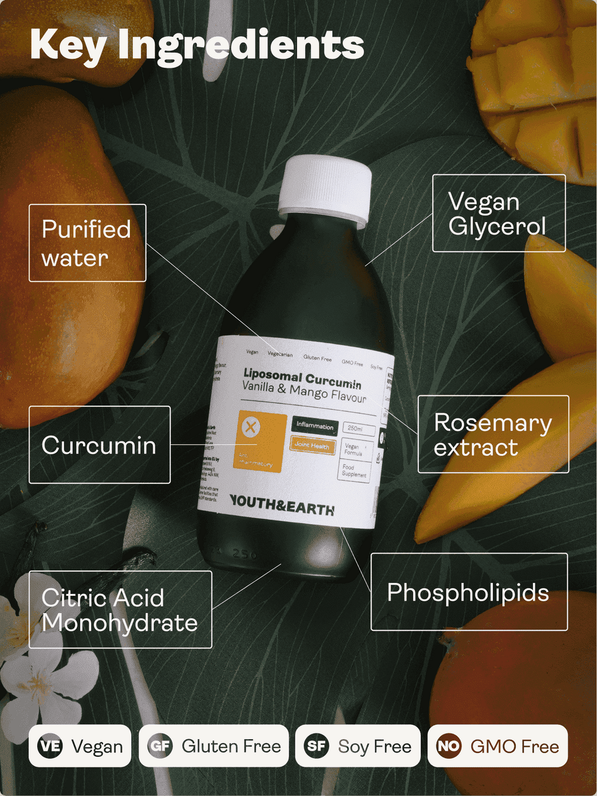 Liposomal Curcumin 200mg – Vanilla &amp; Mango Flavour 250ml - Youth &amp; Earth EU Store