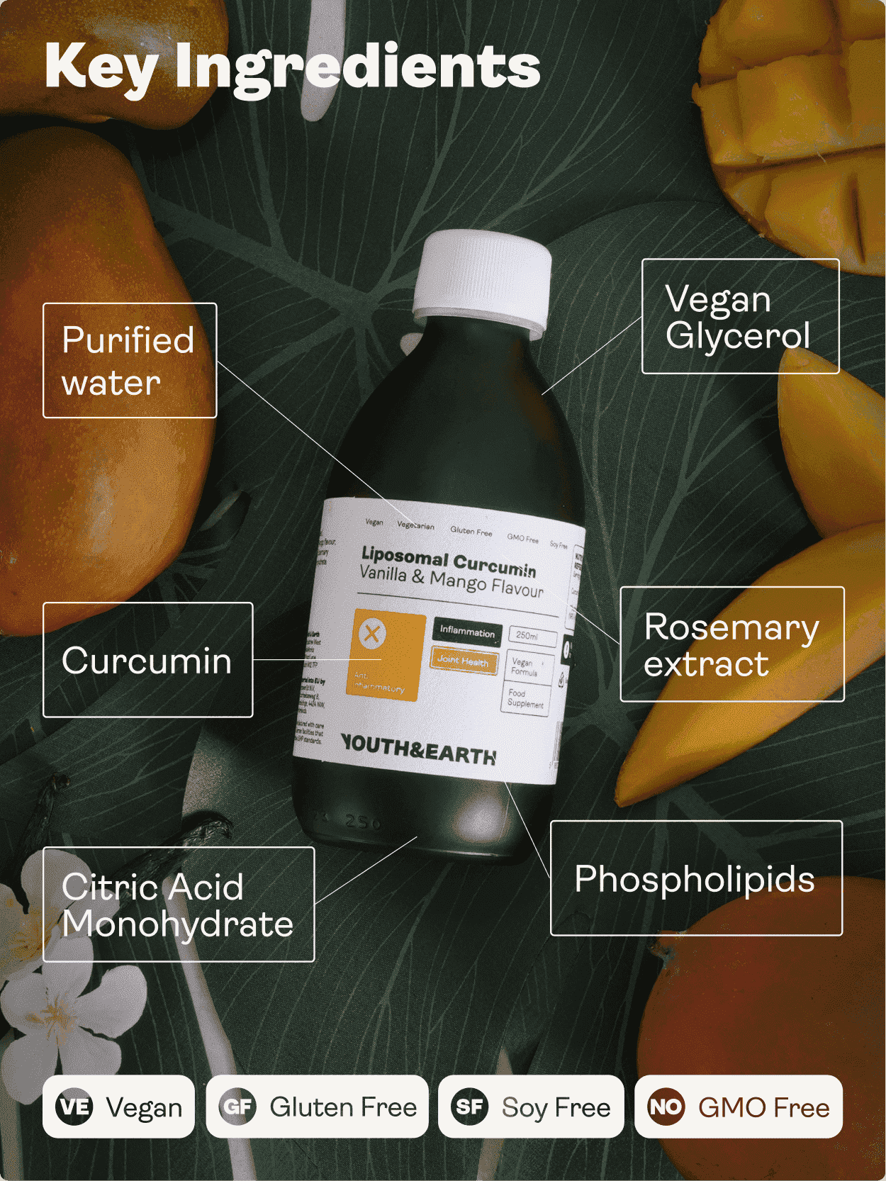 Liposomal Curcumin 200mg - Sabor a Baunilha e Manga, 250ml - Youth & Earth EU Store