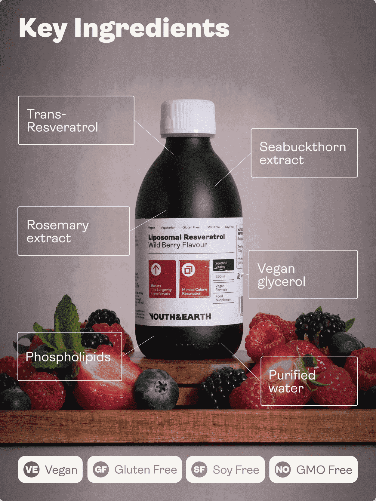 Liposomal Resveratrol 200mg (Wild Berry Flavour, 250ml) - Youth & Earth EU Store
