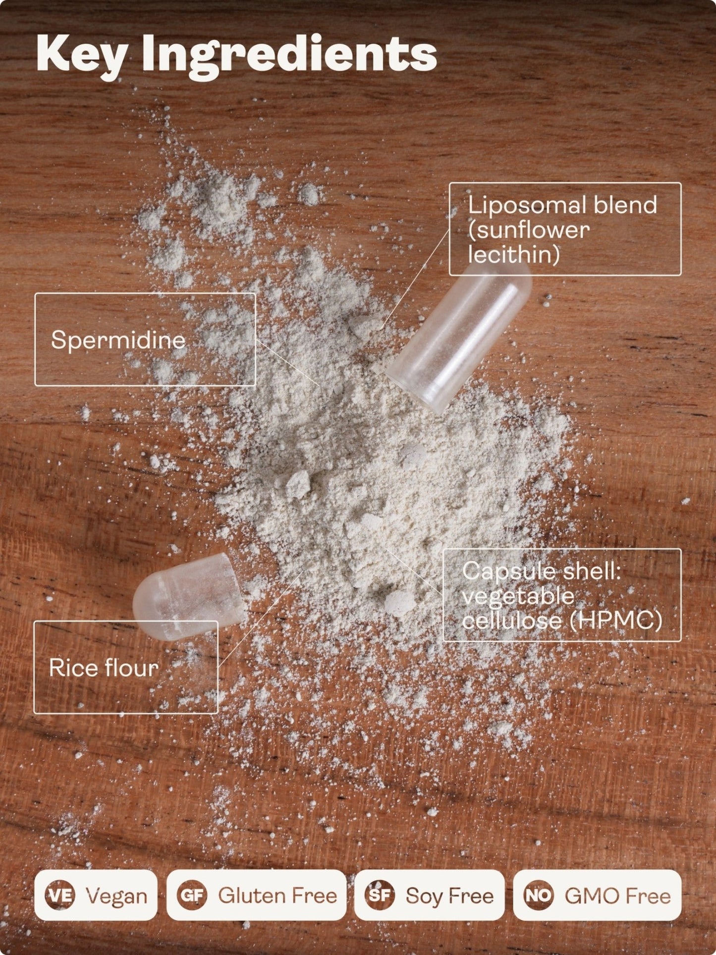 Spermidina liposomiale - Youth & Earth Store