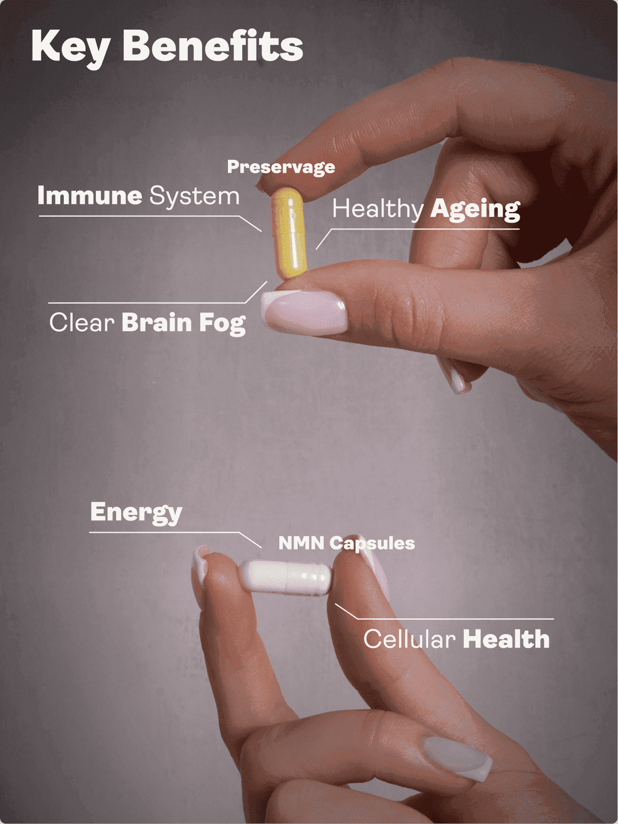 Longevity Support Bundle (NMN & Preservage / NMN & Liposomal Resveratrol) - Youth & Earth EU Store