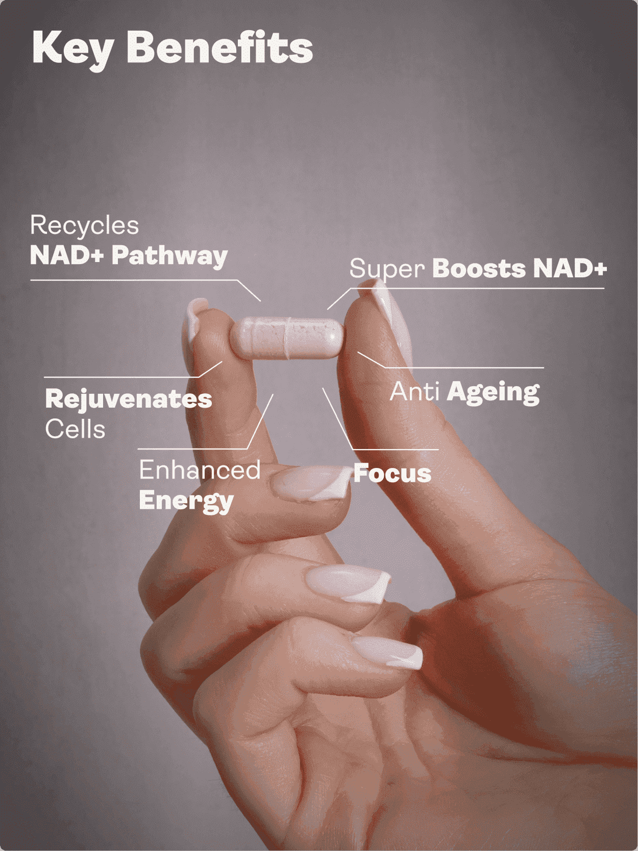 NAD Max - 460mg, 60 Capsules - Youth & Earth EU Store