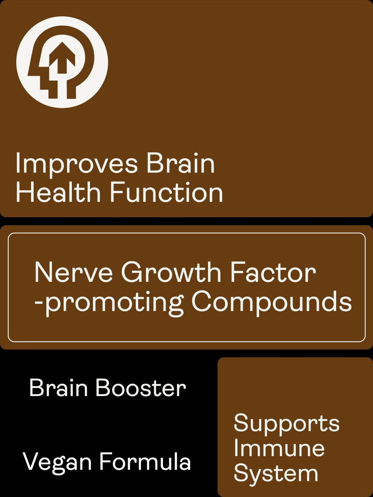 Nerve Growth Factor (Full Spectrum Lion&#39;s Mane Mushroom, Rhodiola, Ginseng, Bioperine) – 500mg x 60 Capsules - Youth &amp; Earth EU Store