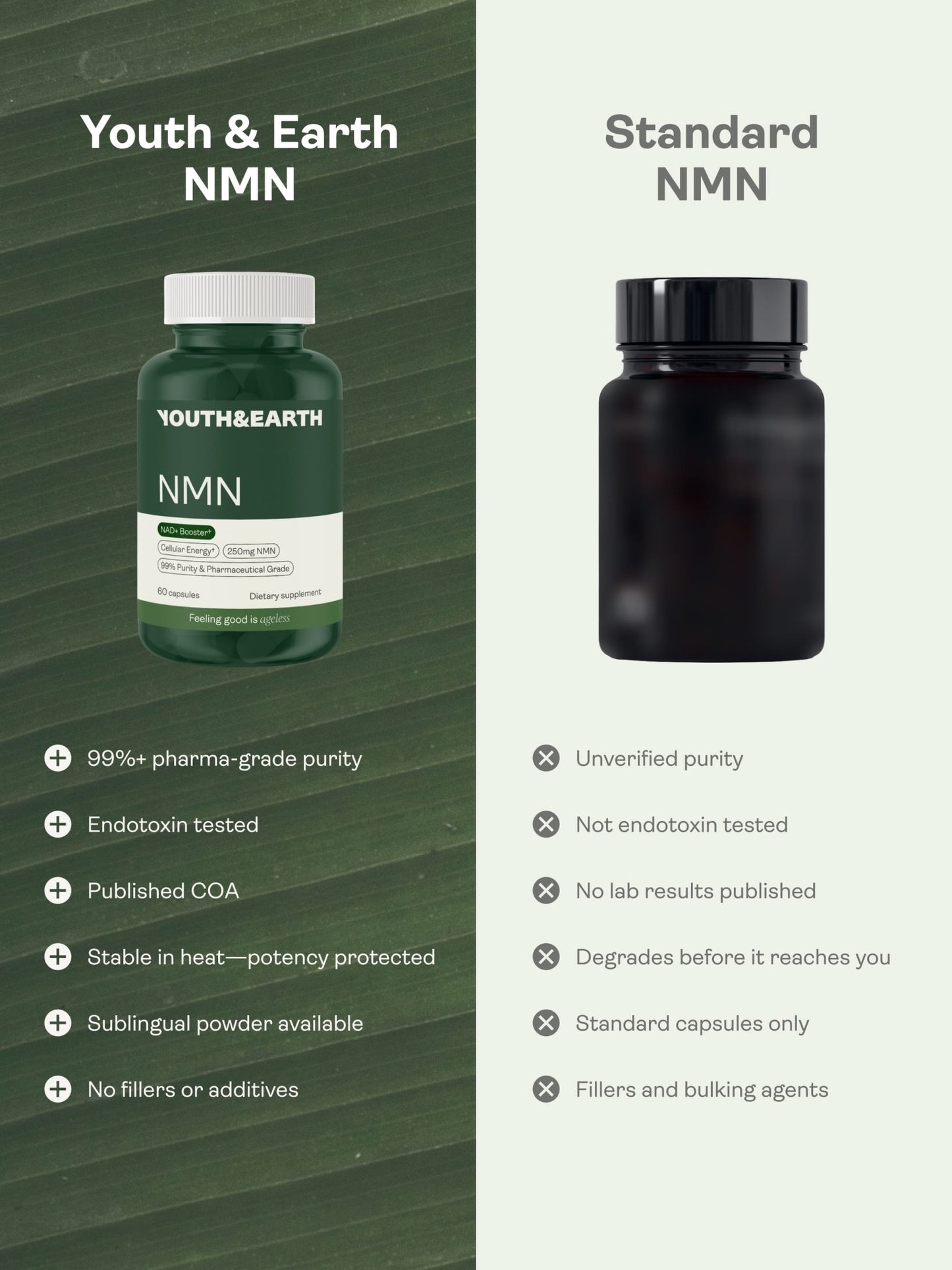 NMN Capsules - NAD+ Booster - Youth & Earth EU Store