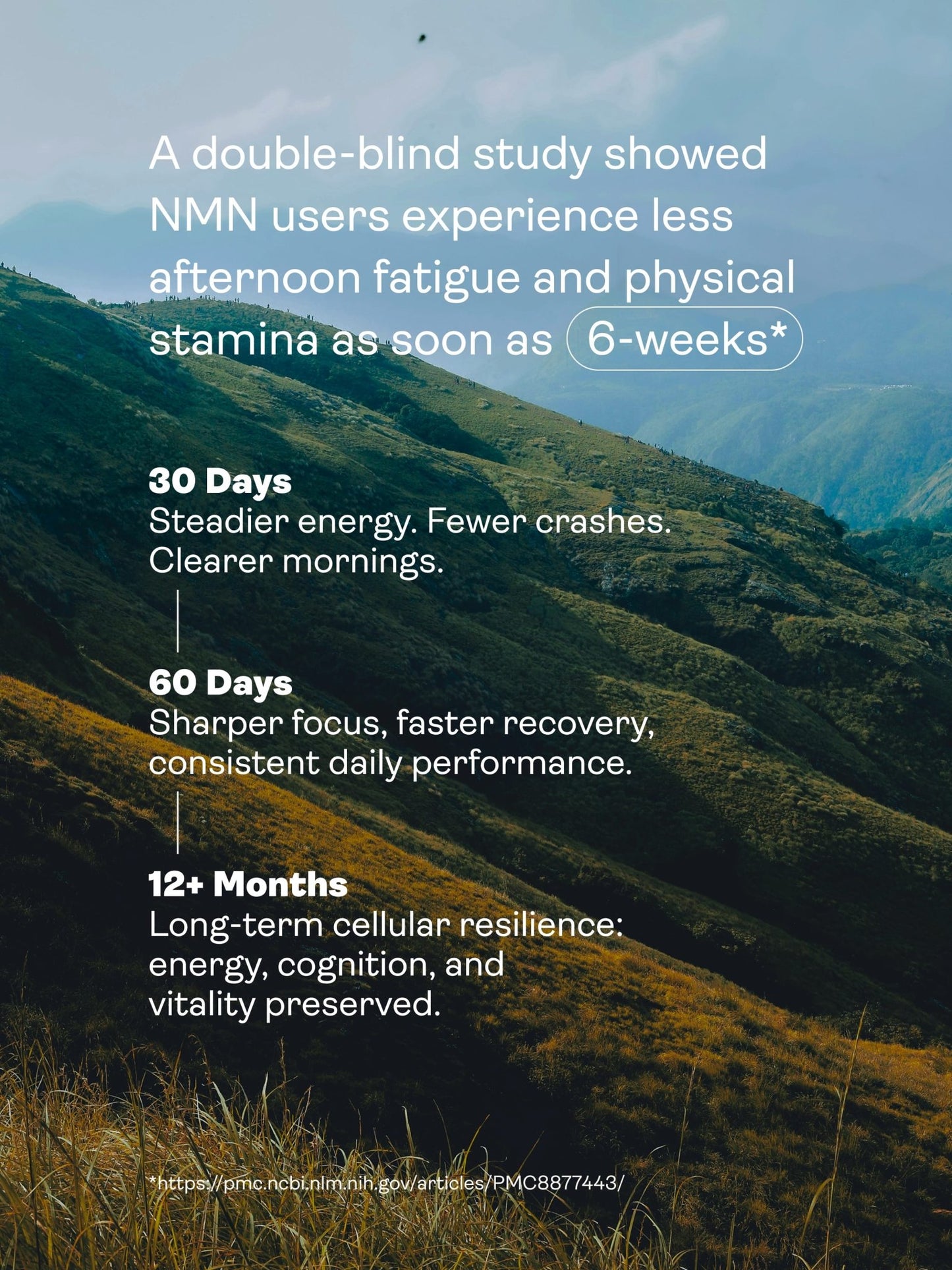 NMN Capsules - NAD+ Booster - Youth & Earth EU Store