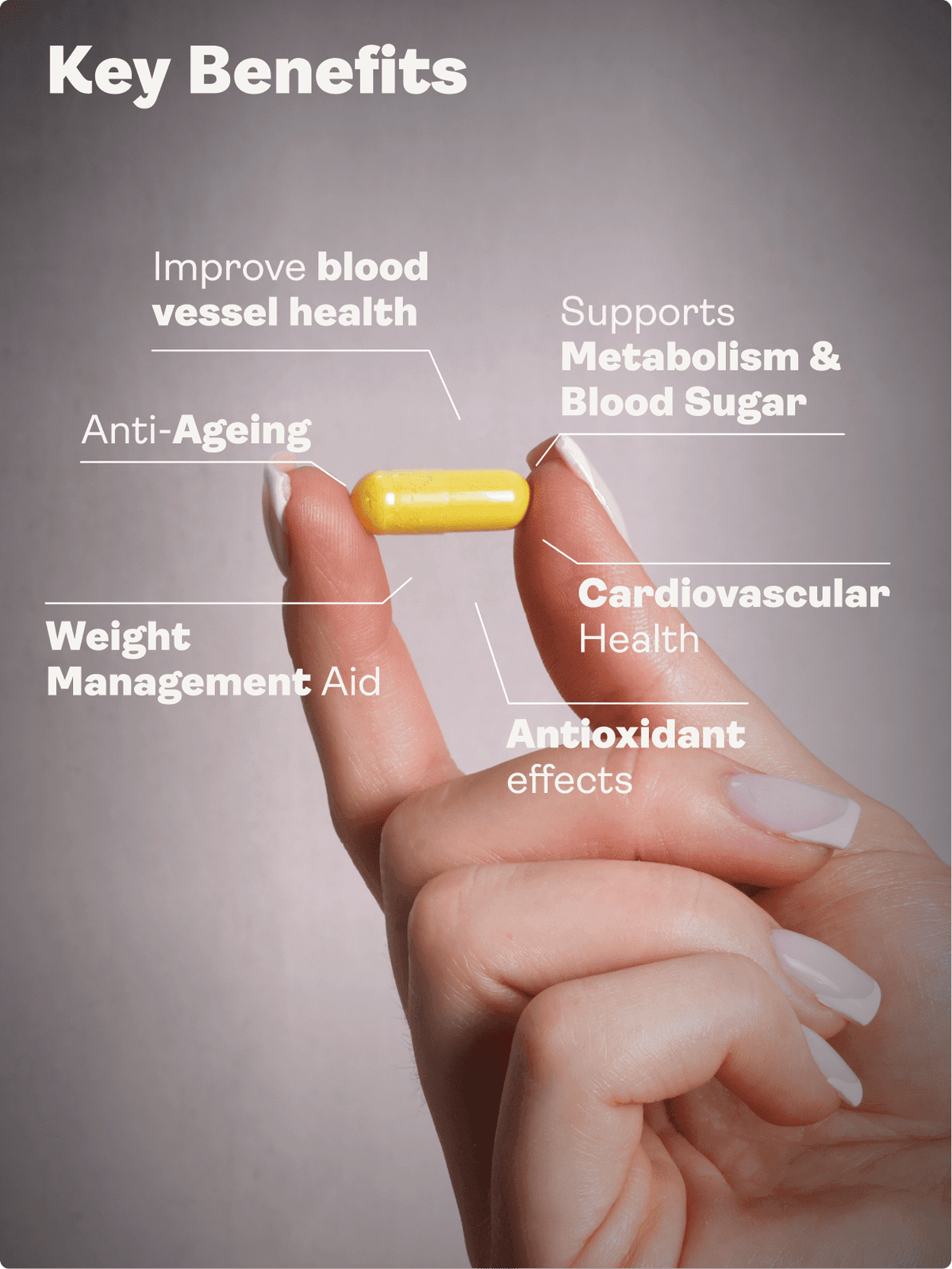 Releaf (Berberine, Silymarin, Chromium Picolinate) – 500.5mg x 60 Capsules - Youth &amp; Earth EU Store