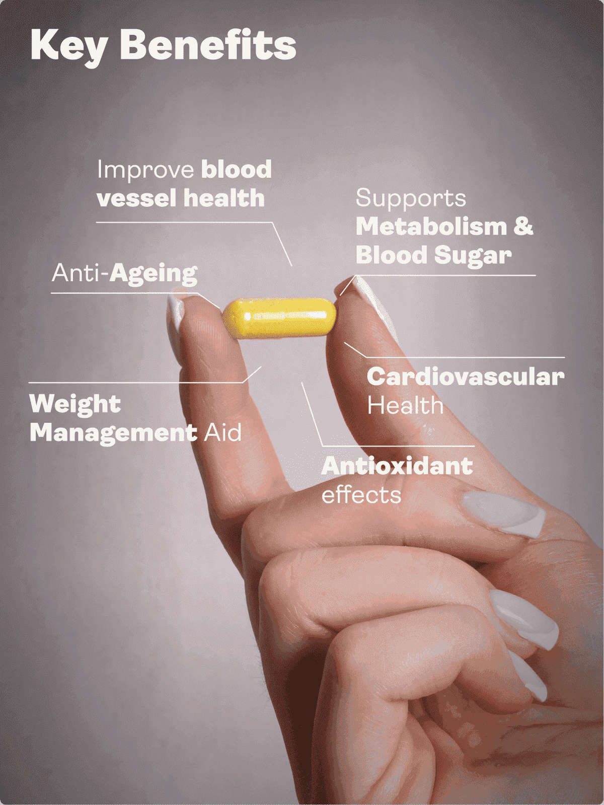 Releaf (Berberine, Silymarin, Chromium Picolinate) – 500.5mg x 60 Capsules Blood Sugar Support Youth &amp; Earth EU Store 