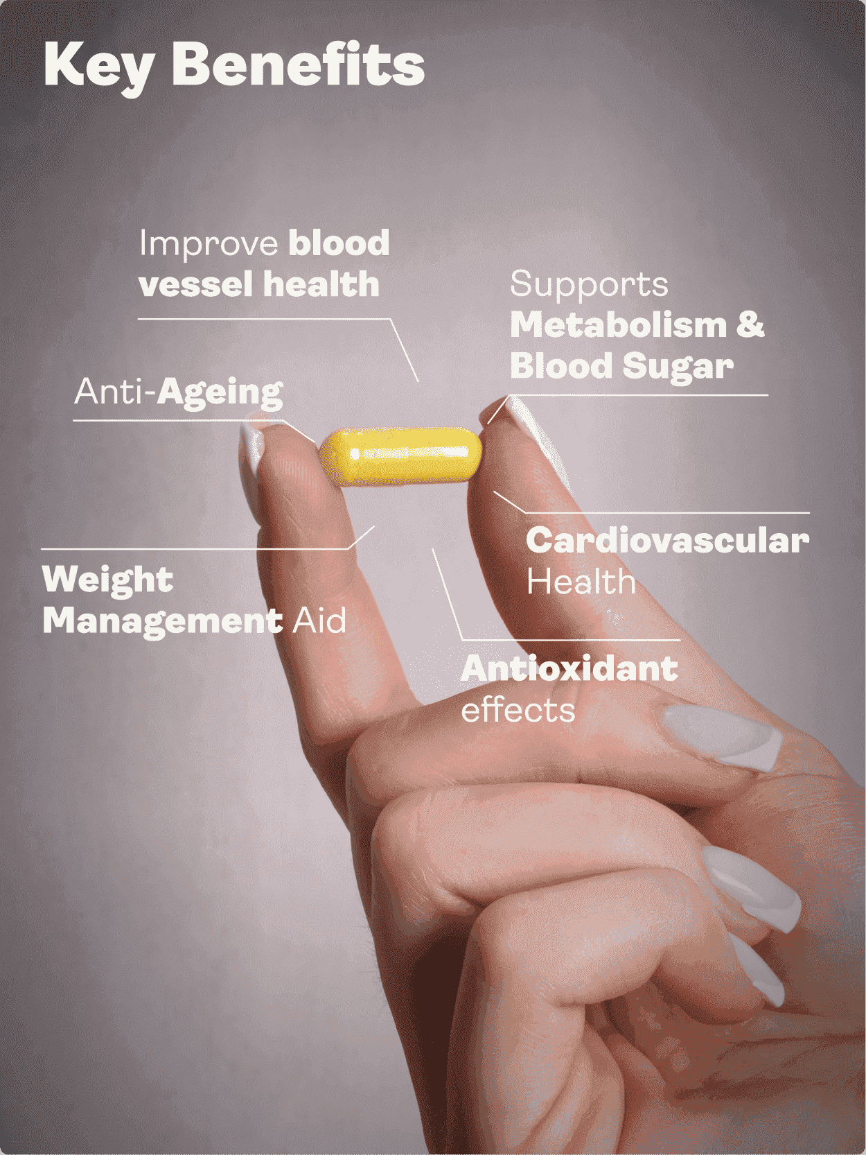 Releaf (Berberine, Silymarin, Chromium Picolinate) 500.5mg, 60 Capsules - Youth & Earth EU Store