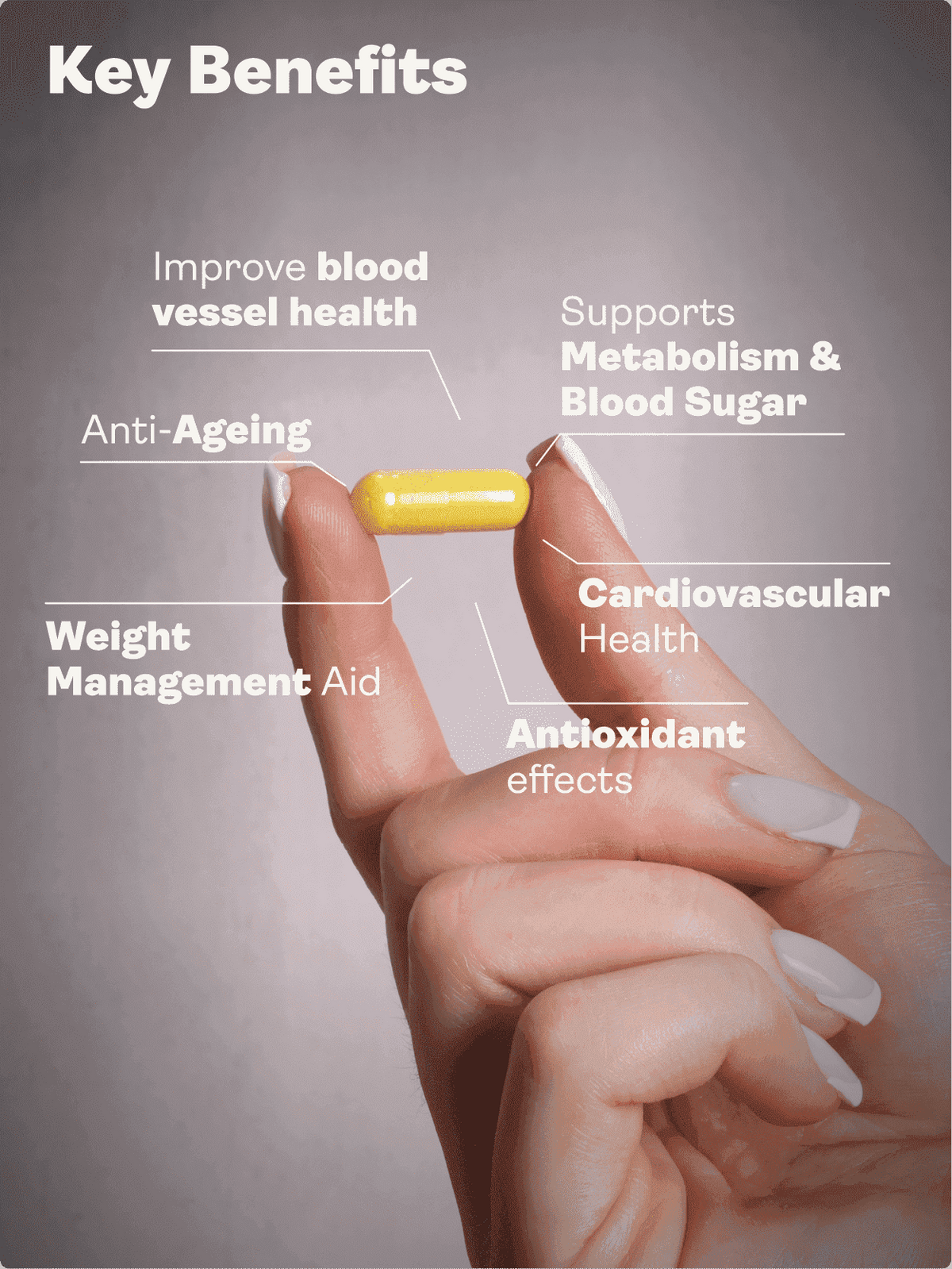 Releaf (Berberine, Silymarin, Chromium Picolinate) – 500.5mg x 60 Capsules Blood Sugar Support Youth &amp; Earth EU Store 