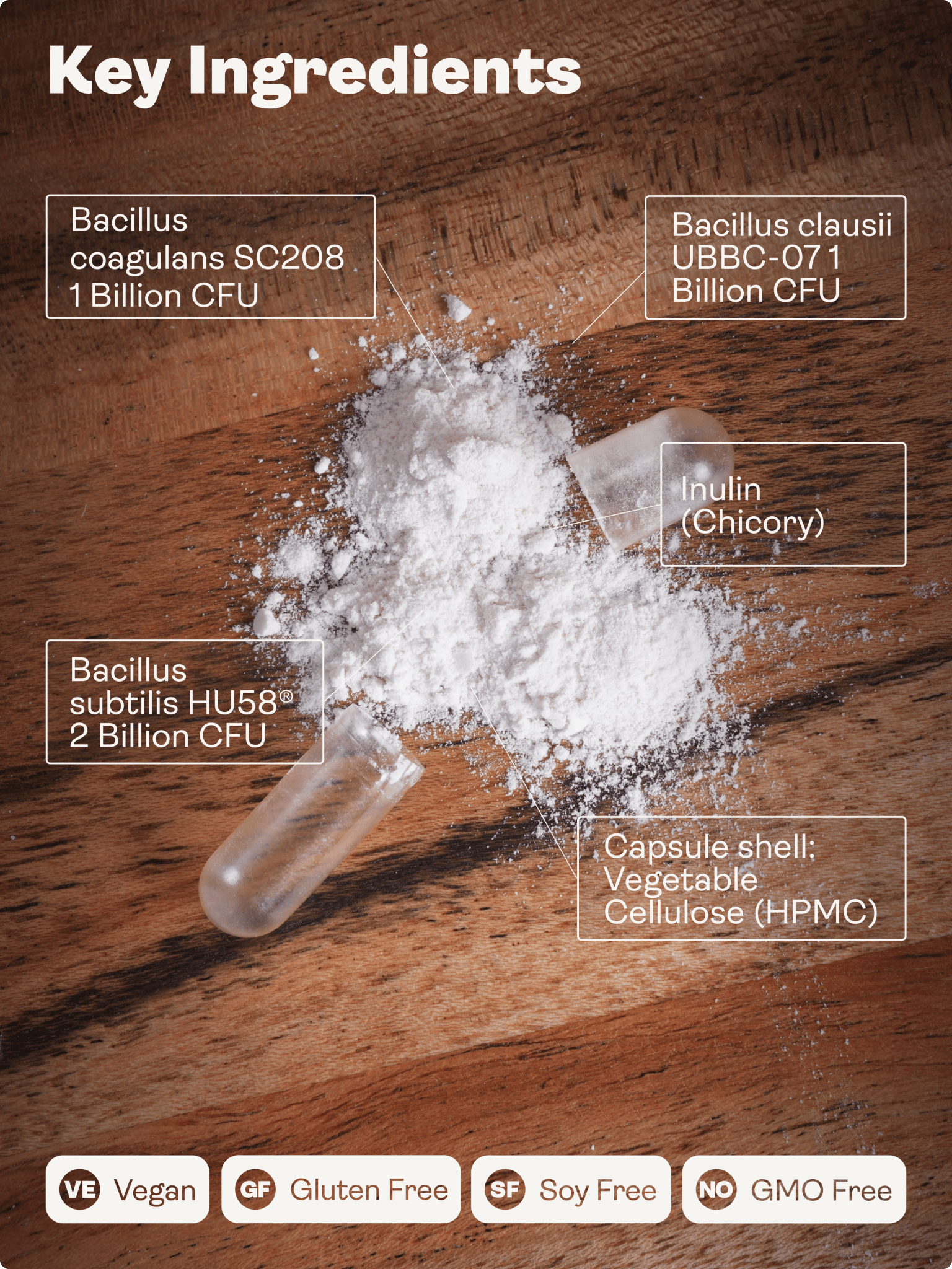 Probiótico Spore (Bacillus Subtilis HU58®, Coagulans SC208 y Clausii UBBC - 07) 4000 millones de UFC - 60 cápsulas - Tienda Youth & Earth