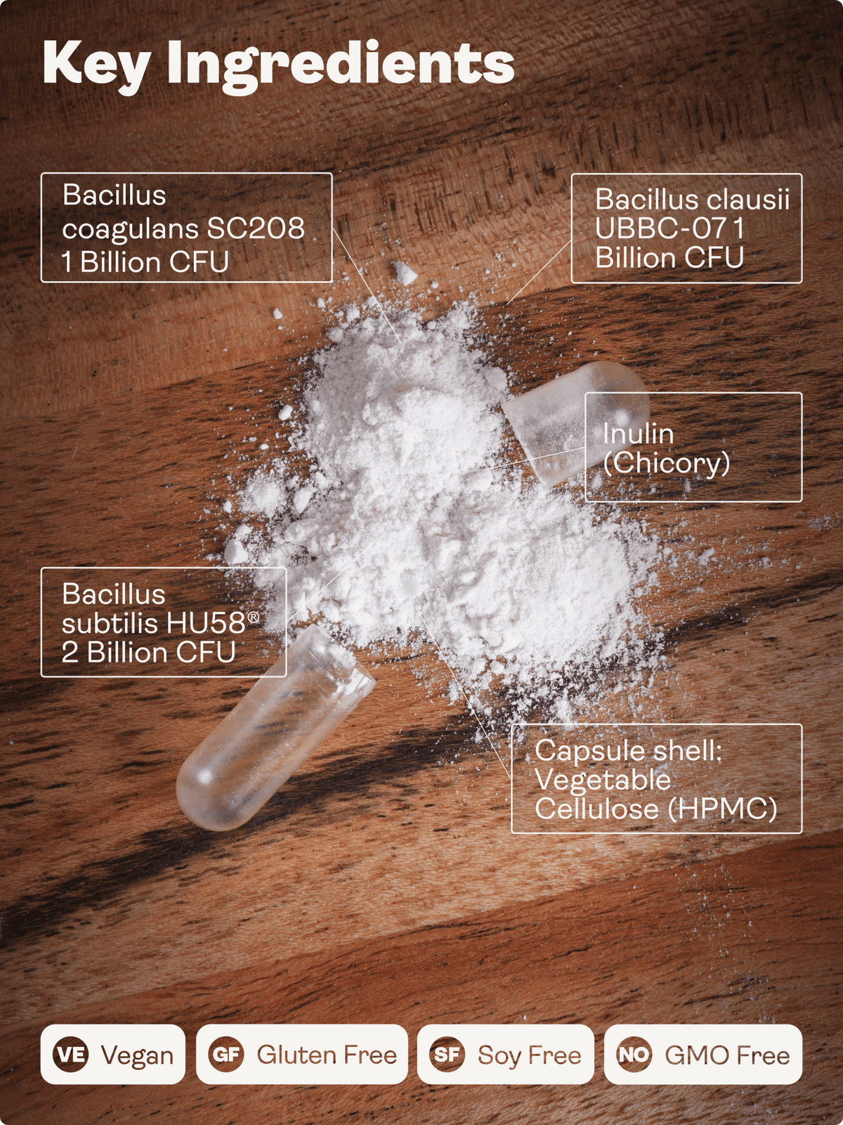 Spore Probiotic (Bacillus Subtilis HU58®, Coagulans SC208 & Clausii UBBC - 07) 4 billion CFU count - 60 Capsules - Youth & Earth EU Store