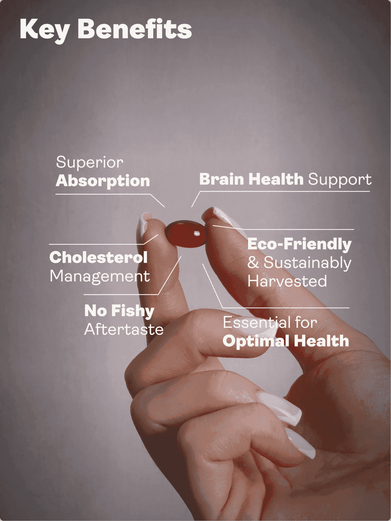 Óleo de krill Superba ™ - 500mg, 60 cápsulas moles - Loja Youth & Earth da UE