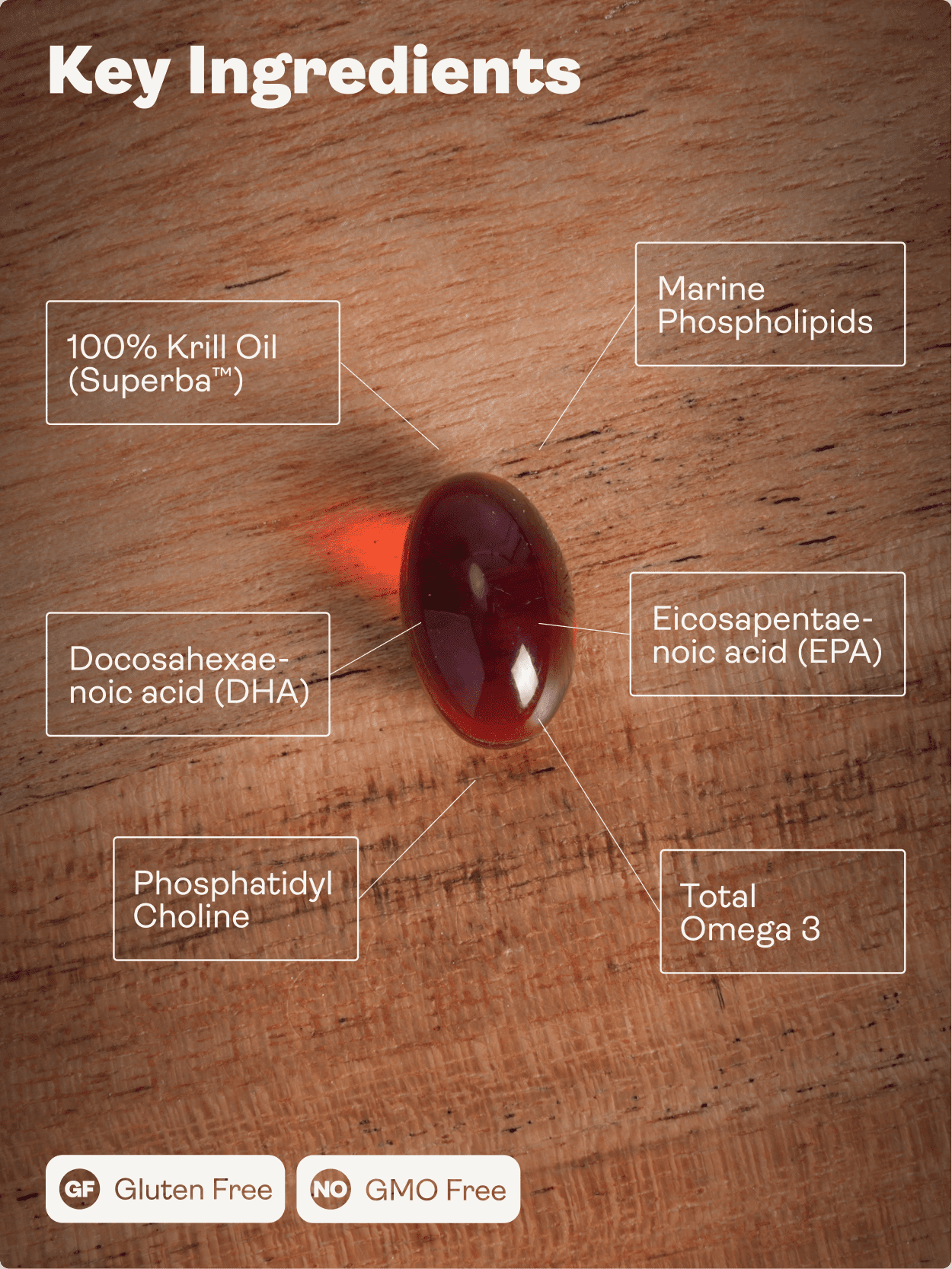 Óleo de krill Superba ™ - 500mg, 60 cápsulas moles - Loja Youth & Earth da UE