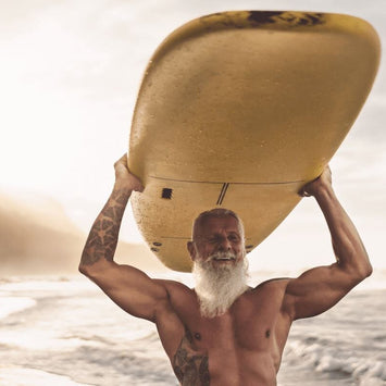 NF-kB a zánět: Dosažení rovnováhy pro delší život