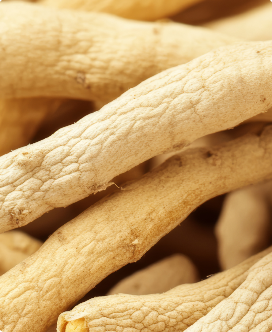 Obrázek složky produktu