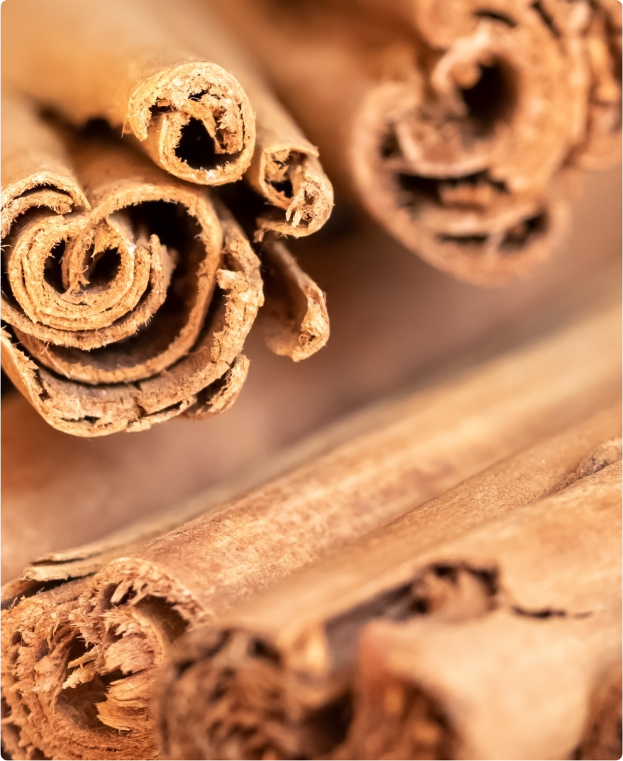 Obrázek složky produktu