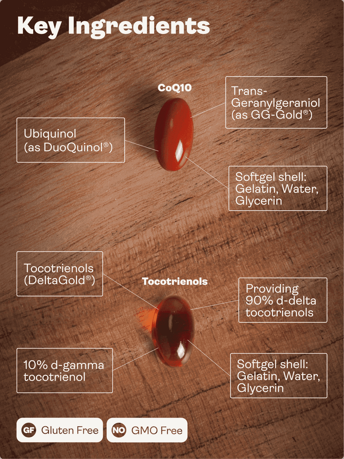 Sada proti cholesterolu - Mitochondriální CoQ10 a tokotrienoly - Youth & Earth EU Store