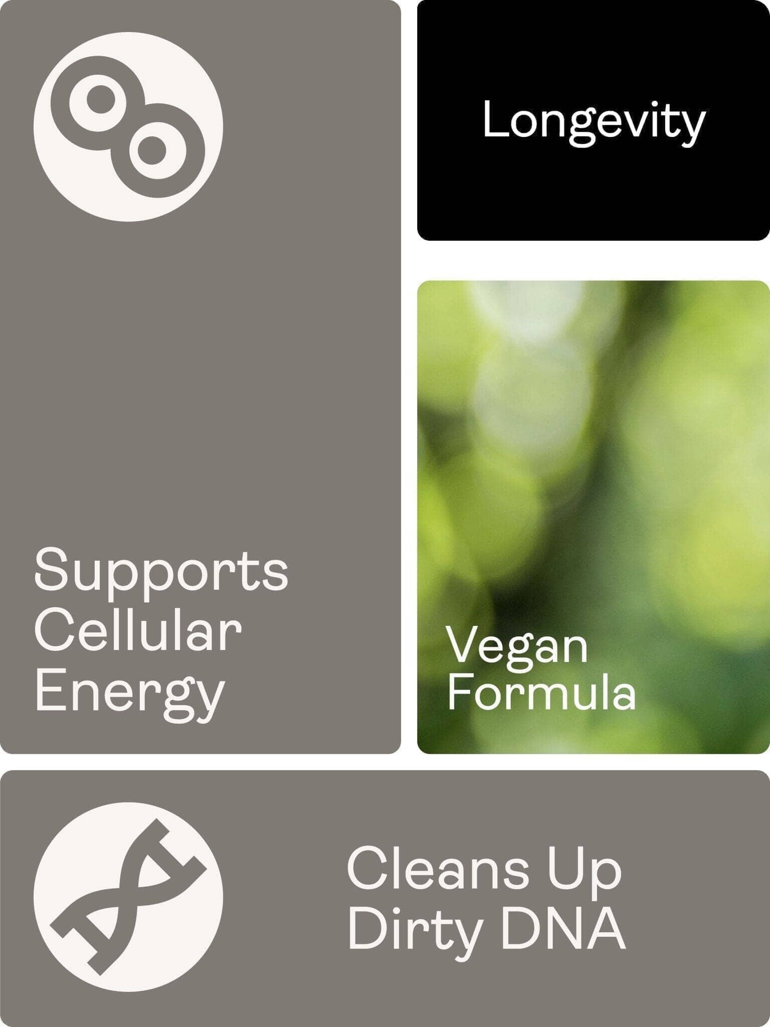 Kalcium alfa keto-glutarát (AKG) 500mg x 60 kapslí - Youth & Earth EU Store