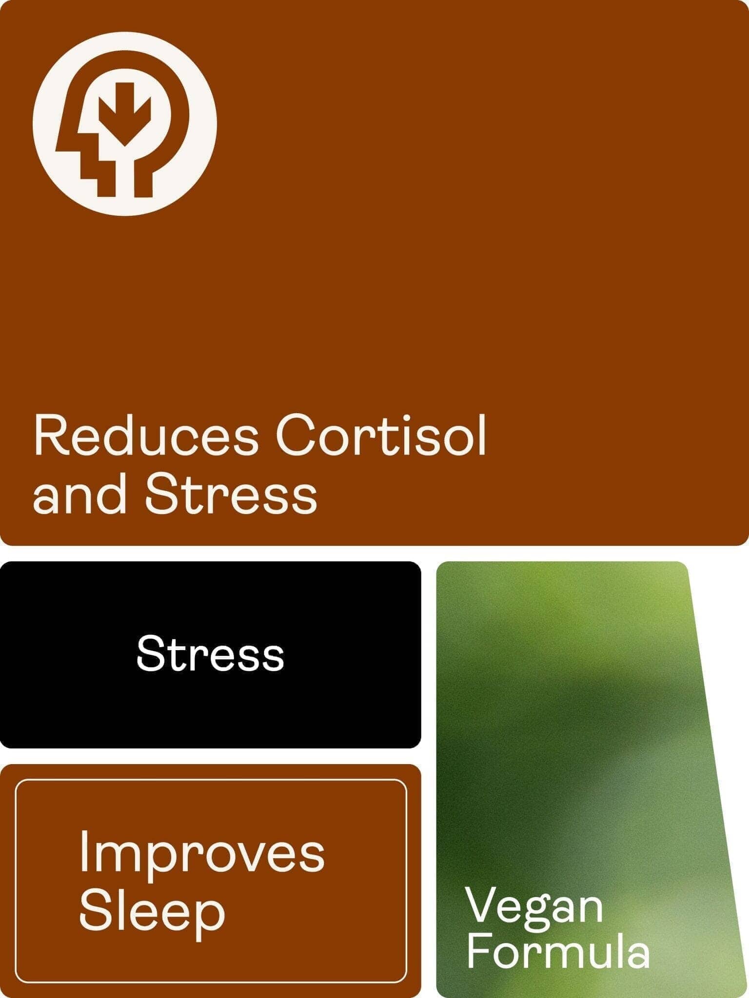 CHILLAXCINE (Ashwagandha, L-theanin a šafrán) 335mg, 60 kapslí - Youth & Earth EU Store