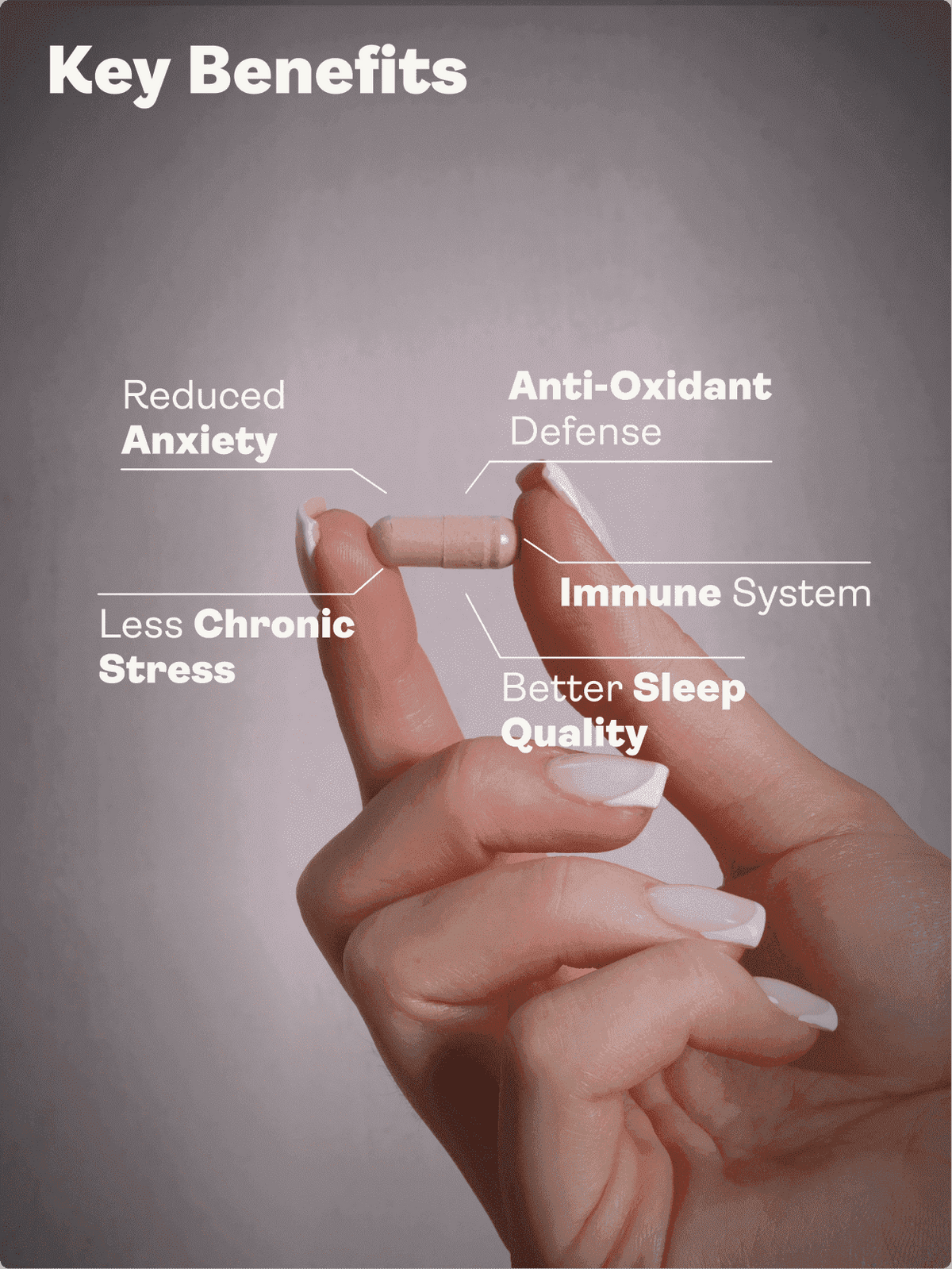 CHILLAXCINE (Ashwagandha, L-theanin a šafrán) 335mg, 60 kapslí - Youth & Earth EU Store