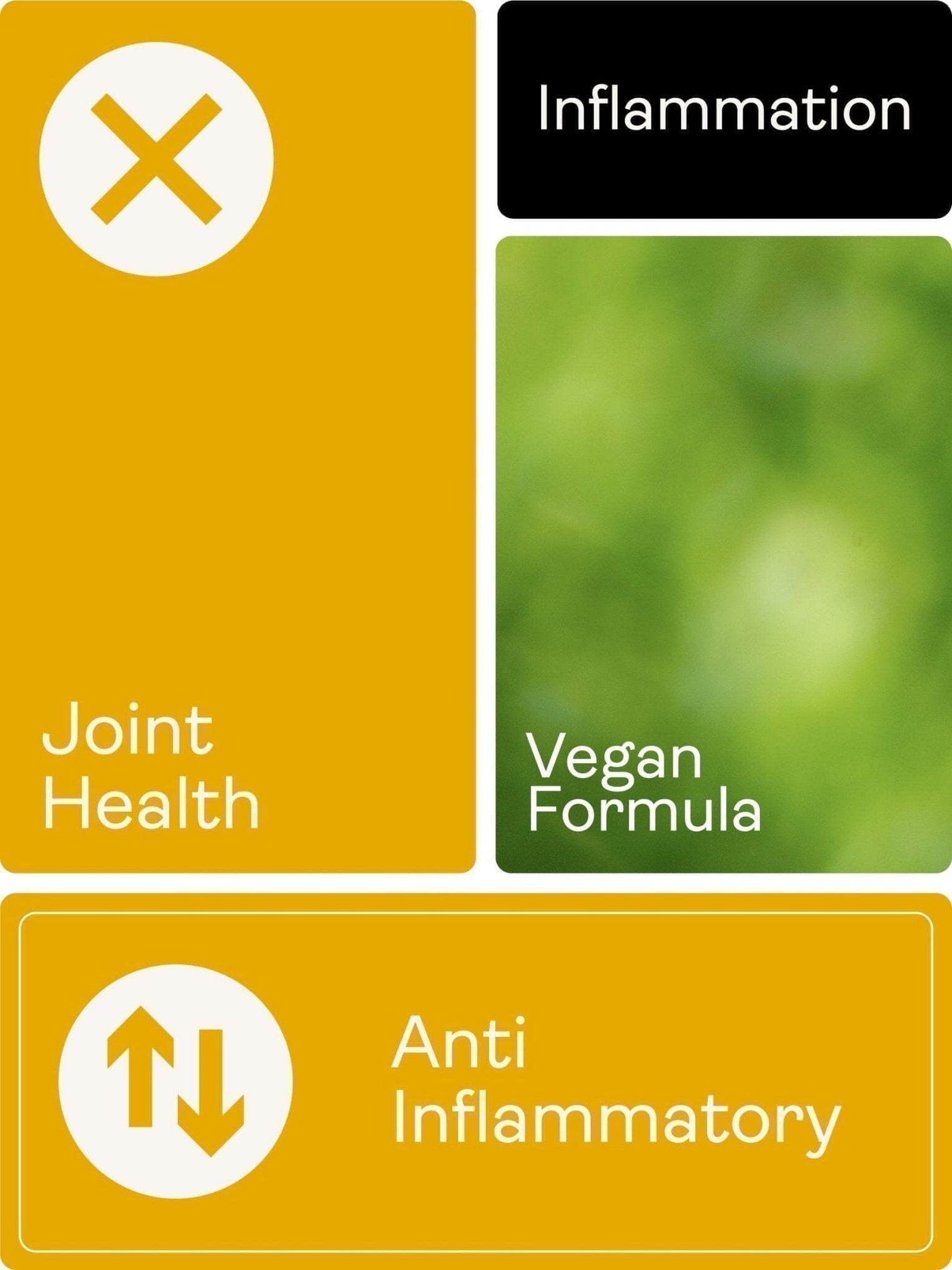 Liposomální kurkumin 200 mg - příchuť vanilka a mango, 250 ml - Youth & Earth EU Store