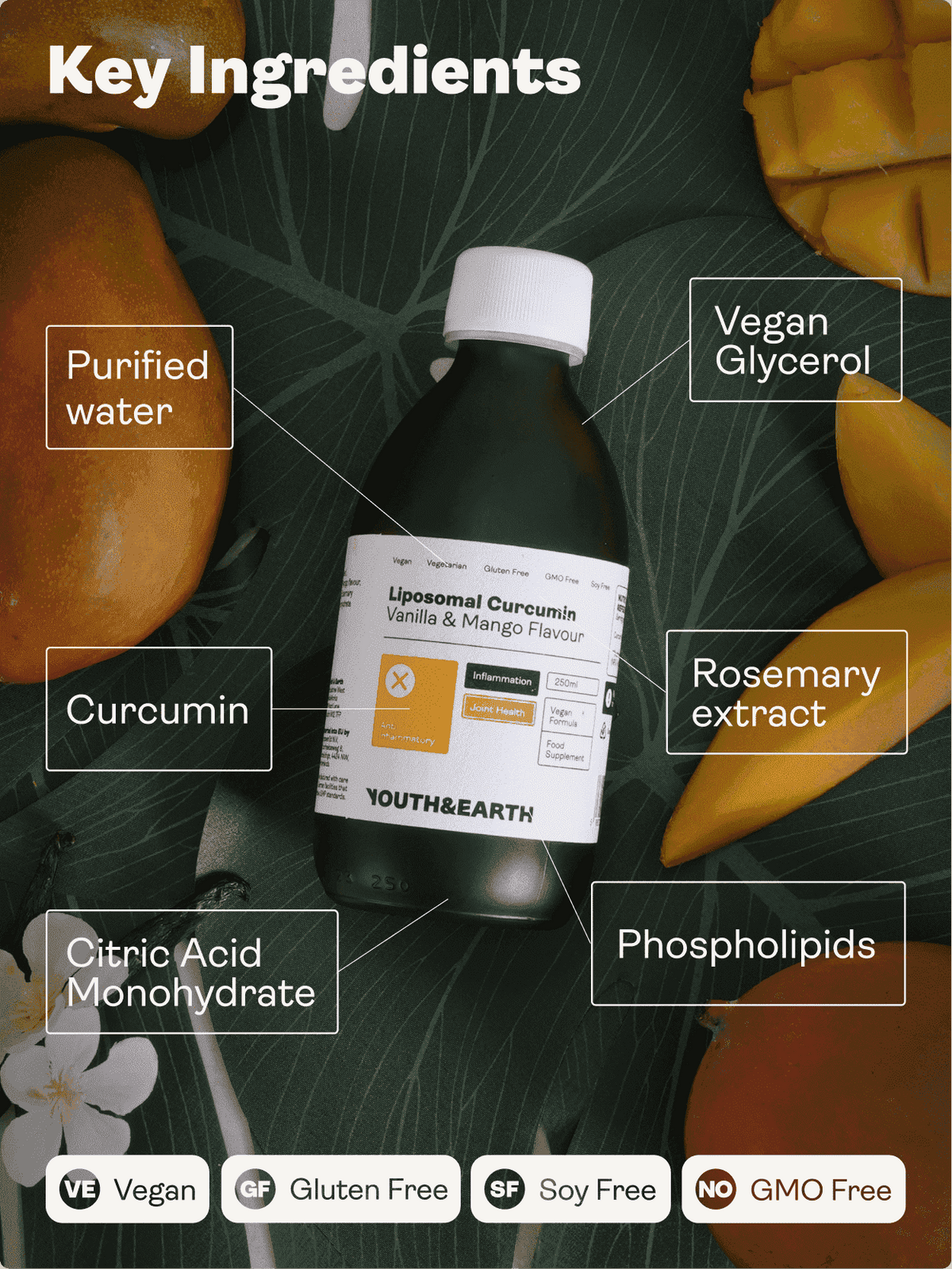 Liposomální kurkumin 200 mg - příchuť vanilka a mango, 250 ml - Youth & Earth EU Store