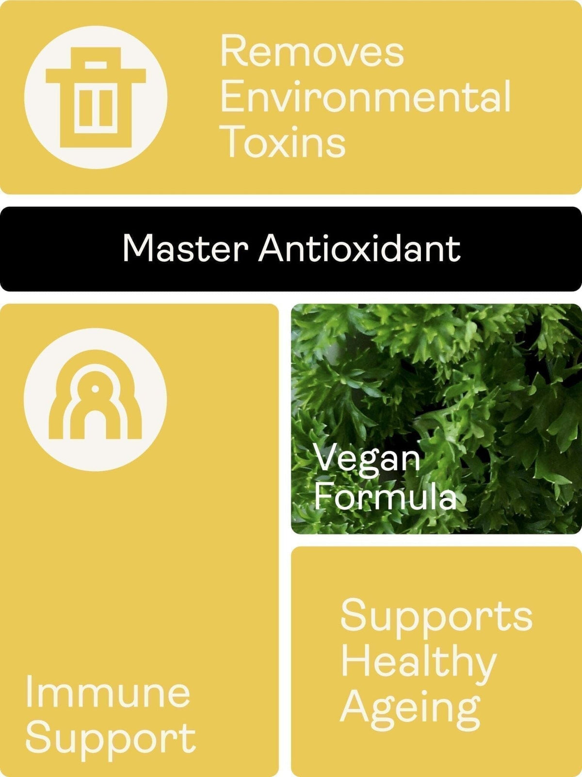 Liposomální glutathion 400 mg - příchuť mango, 250 ml - Youth & Earth EU Store