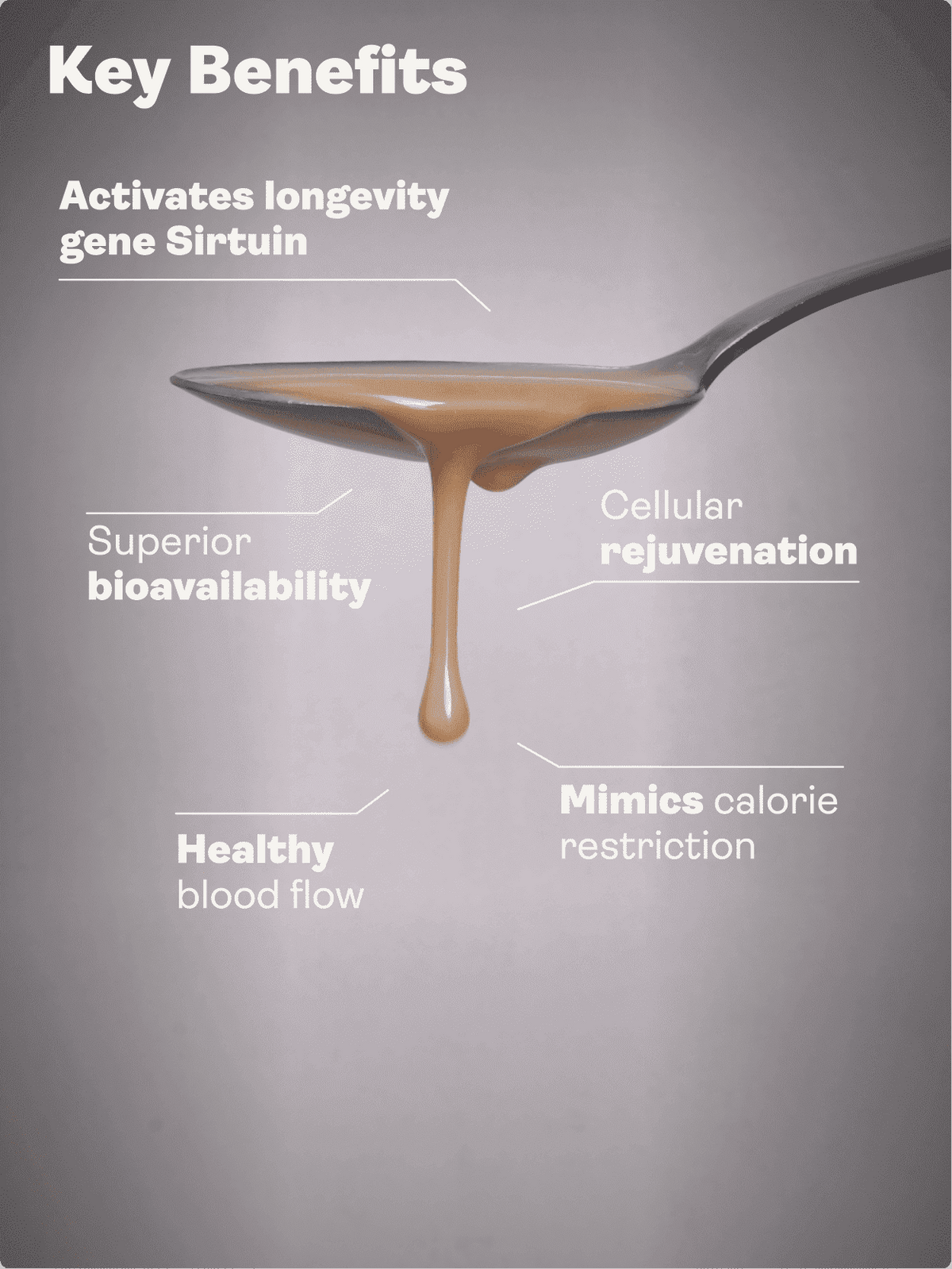 Liposomální resveratrol 200 mg (příchuť lesních plodů, 250 ml) - Youth & Earth EU Store