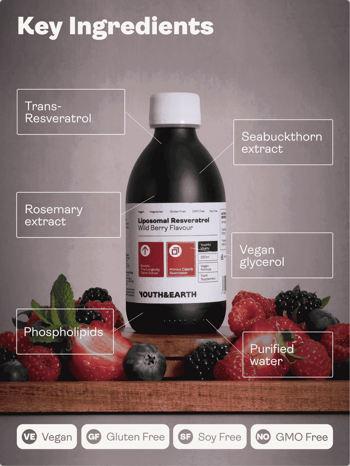 Liposomální resveratrol 200 mg (příchuť lesních plodů, 250 ml) - Youth & Earth EU Store