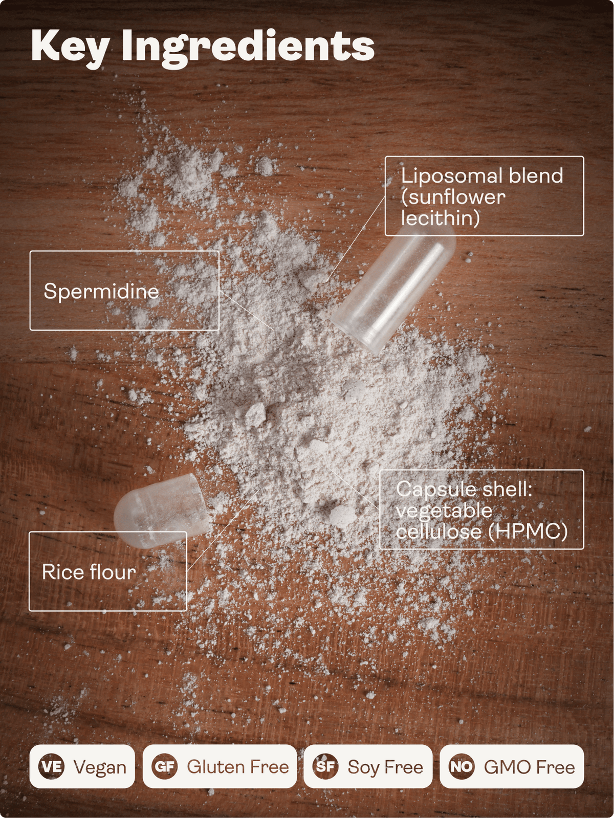 Liposomální spermidin 5,49 mg x 60 kapslí - Youth & Earth EU Store