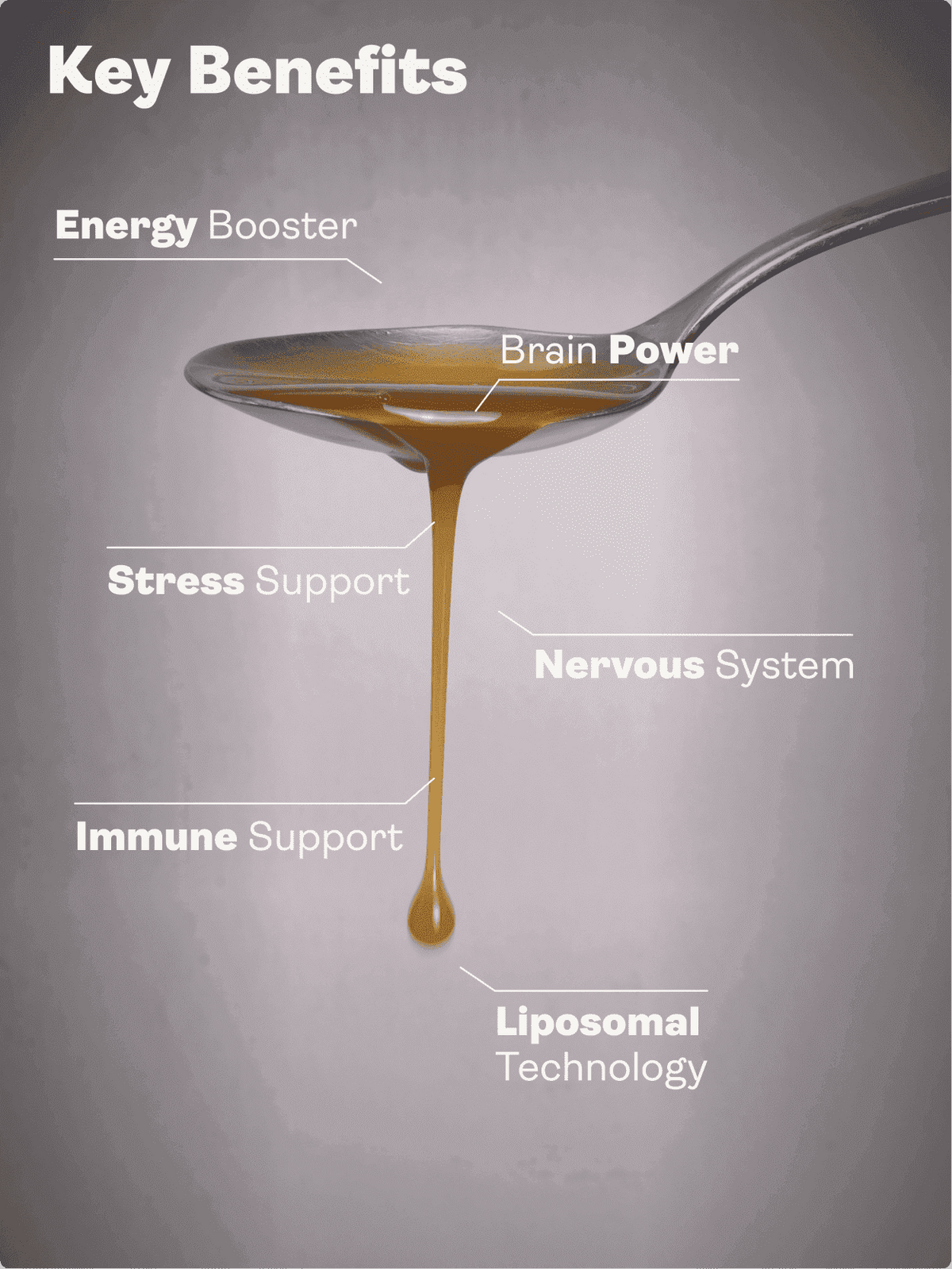 Liposomální vitamin B komplex s 5-MTHF folátem (příchuť mango a pomeranč, 250 ml) - Youth & Earth EU Store