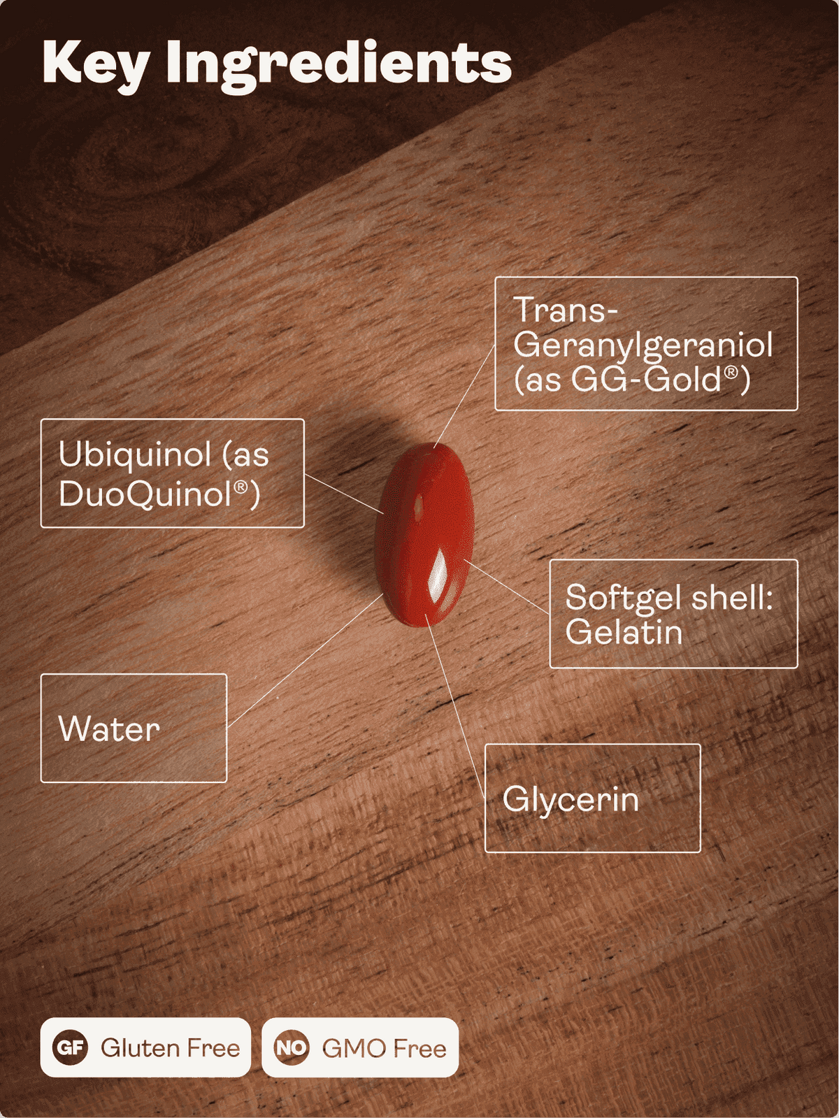 Doplněk stravy MITOCHONDRIAL CoQ10 (DuoQuinol® & GG-Gold®) - Youth & Earth EU Store