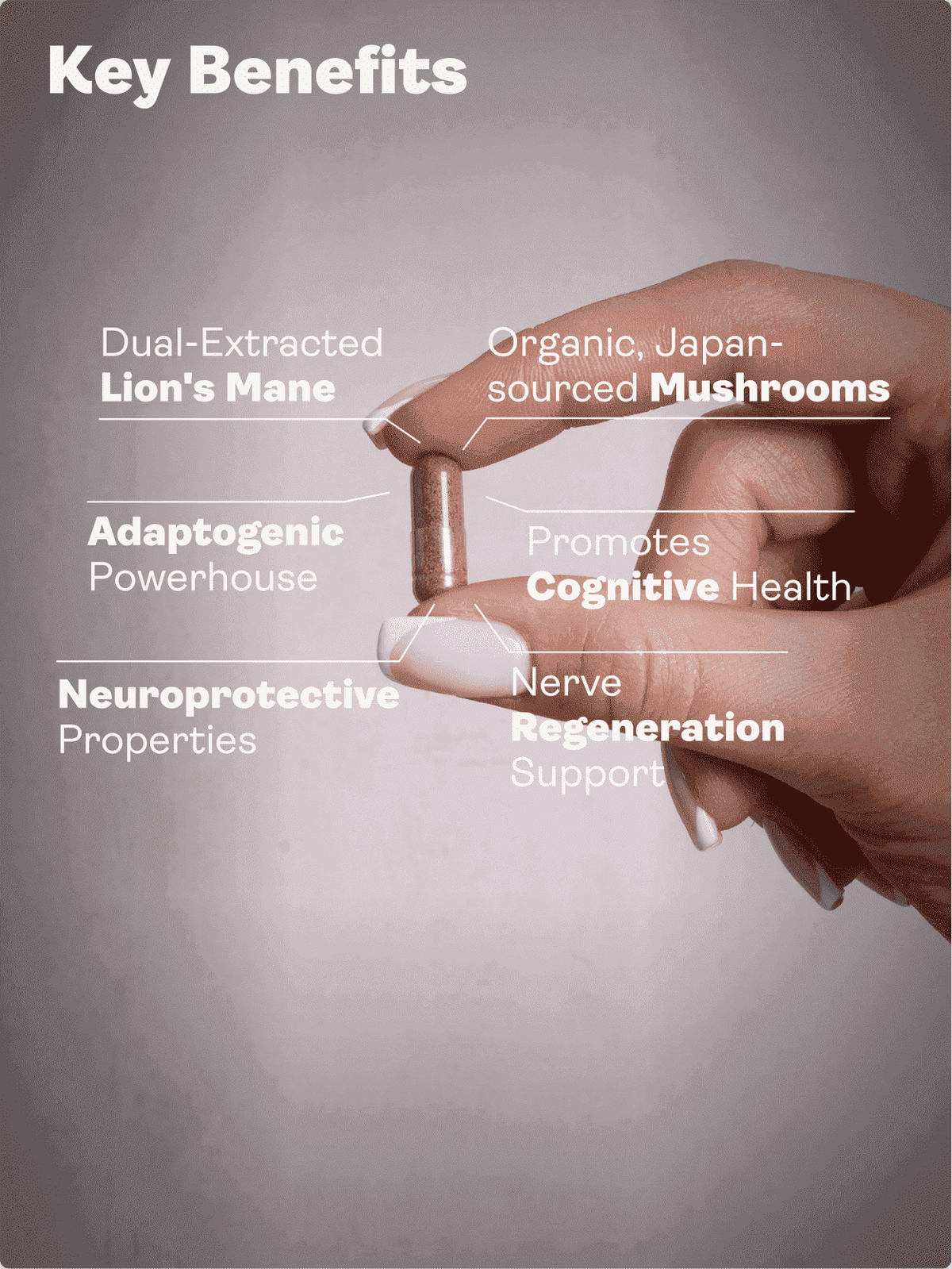 Nervový růstový faktor (plnospektrální houba lví hříva, rodiola, ženšen, bioperin) - 500 mg, 60 kapslí - Youth & Earth EU Store