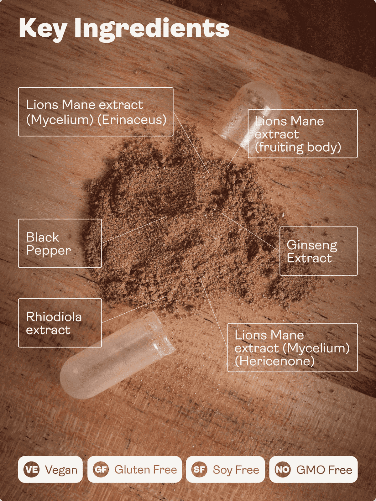 Nervový růstový faktor (plnospektrální houba lví hříva, rodiola, ženšen, bioperin) - 500 mg, 60 kapslí - Youth & Earth EU Store